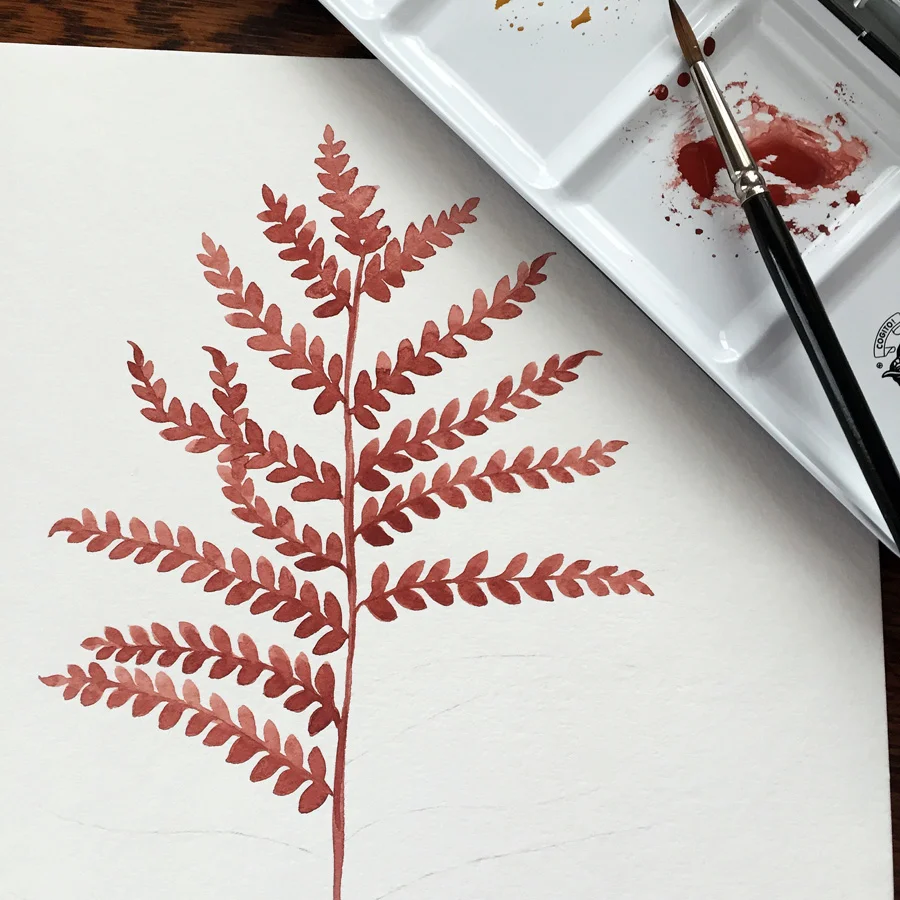 watercolor painting of fern by Phoebe Stout of Untold Imprint