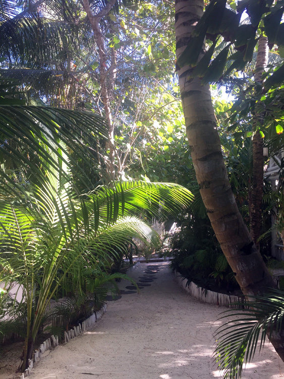 tulum 10.jpg