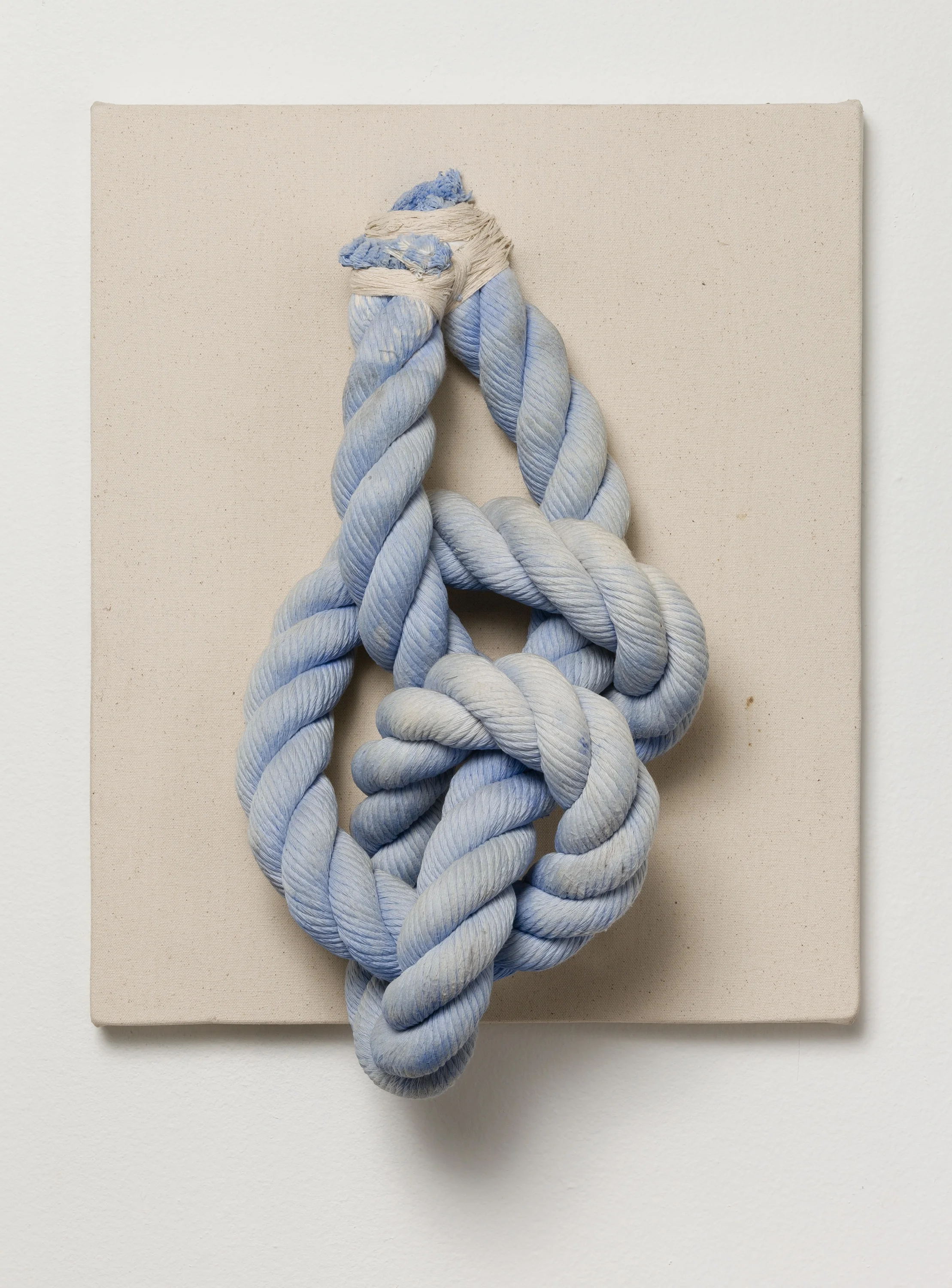 Texture/Parameter #10 2012 dyed rope on canvas 18 x 15 x 5 inches