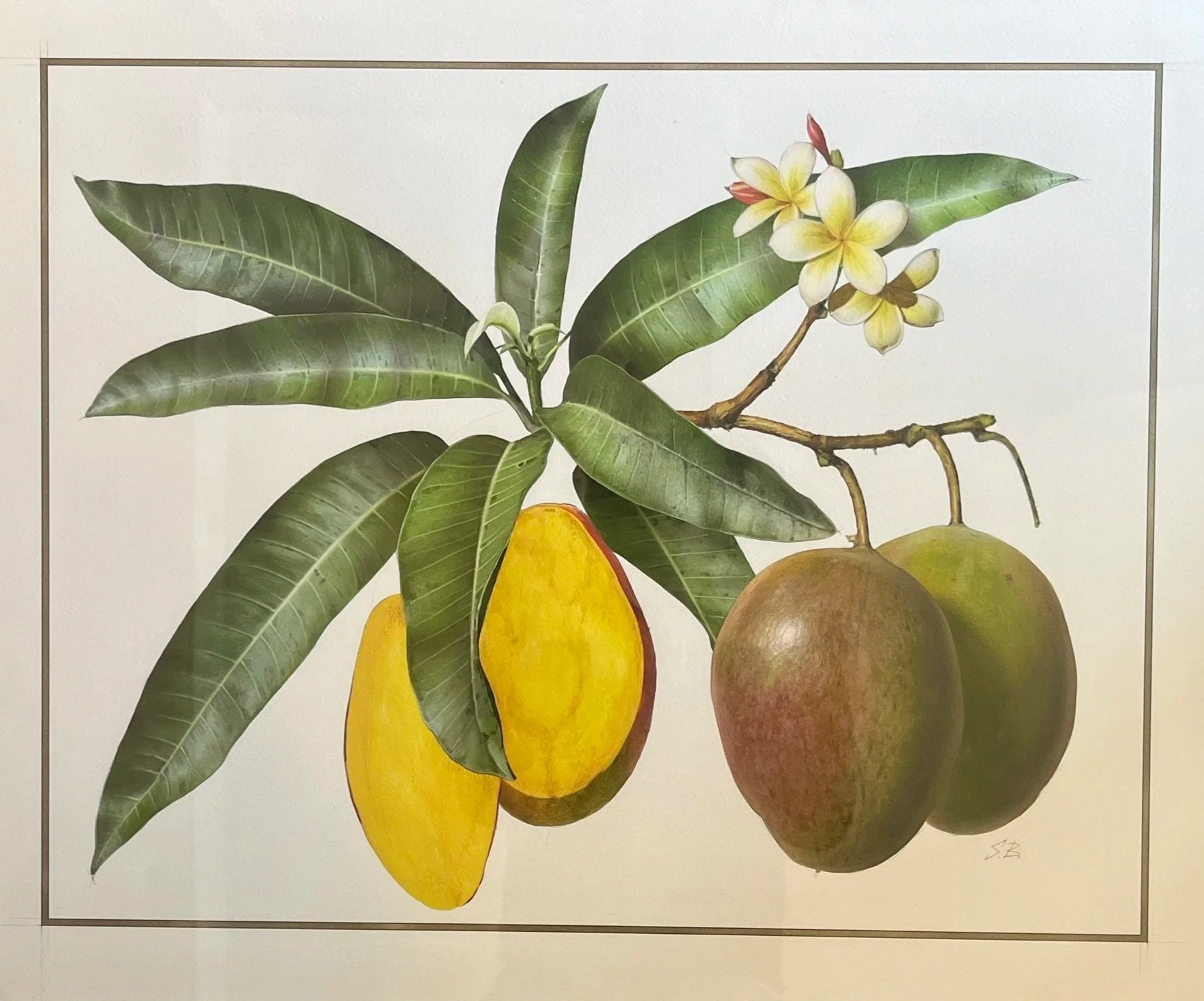 Mango 3.jpg