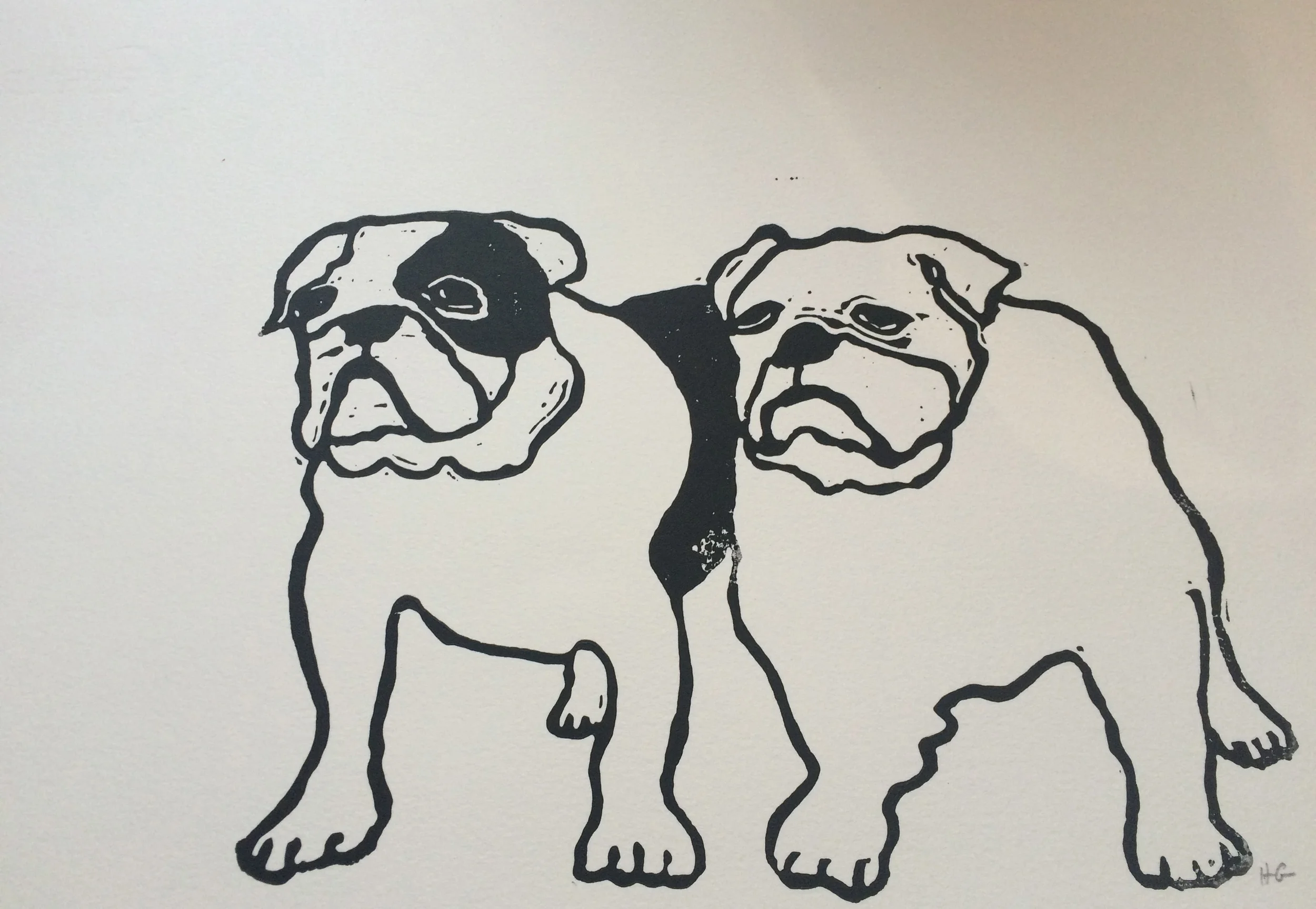 Hugo Guinness, Bulldogs