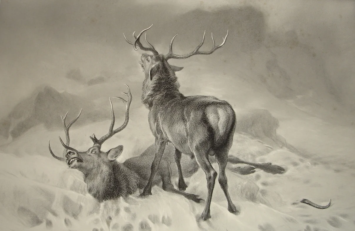 Edwin Henry Landseer