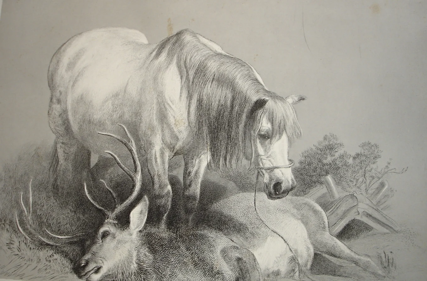 Edwin Henry Landseer
