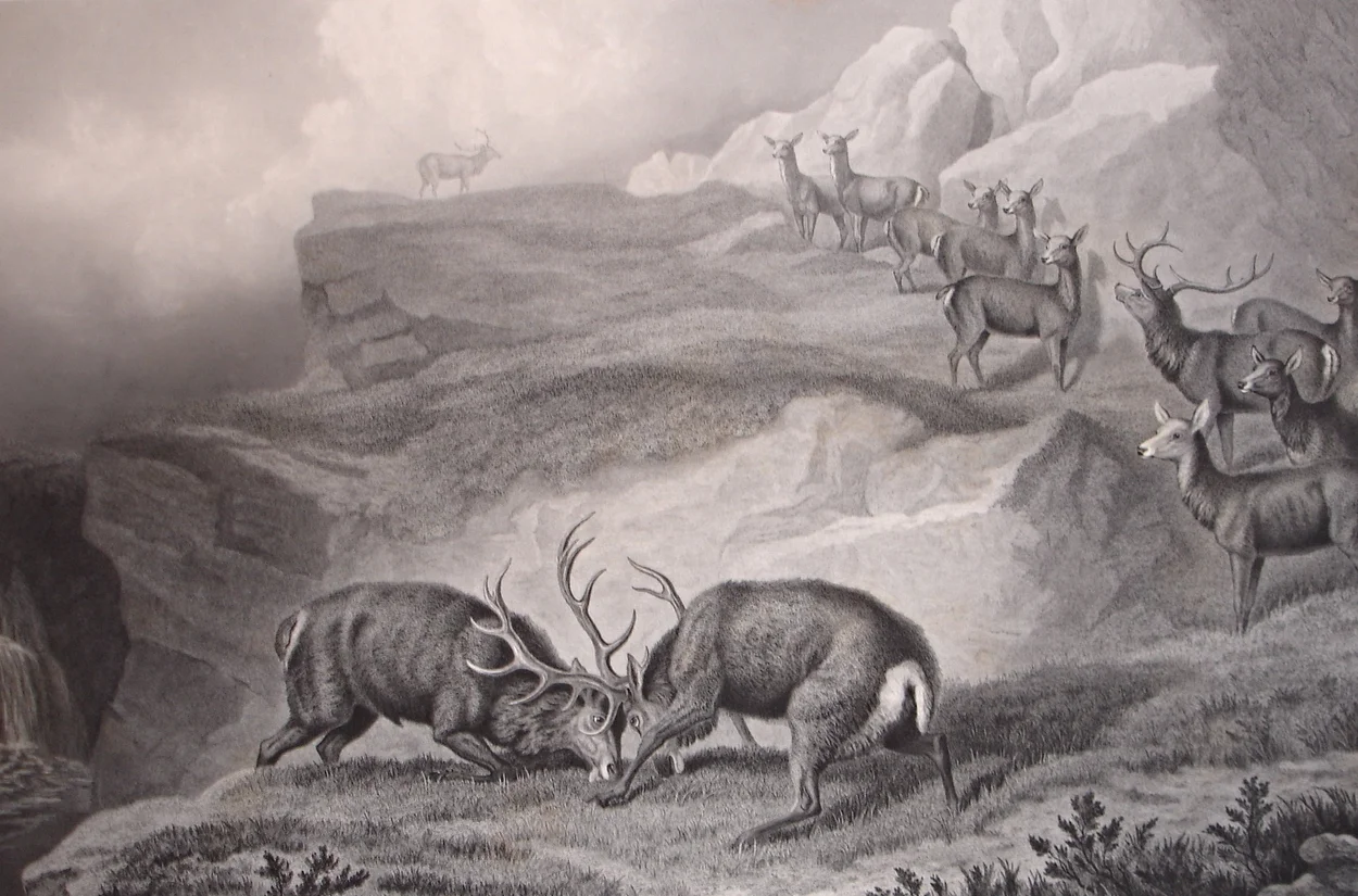 Edwin Henry Landseer