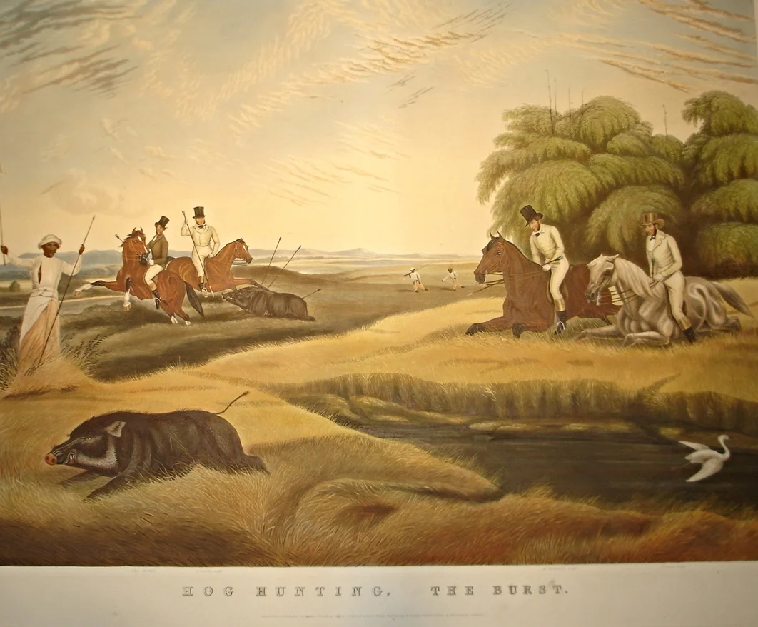 Hog hunting 'The Burst' Dimensions: 87cm x 105cm