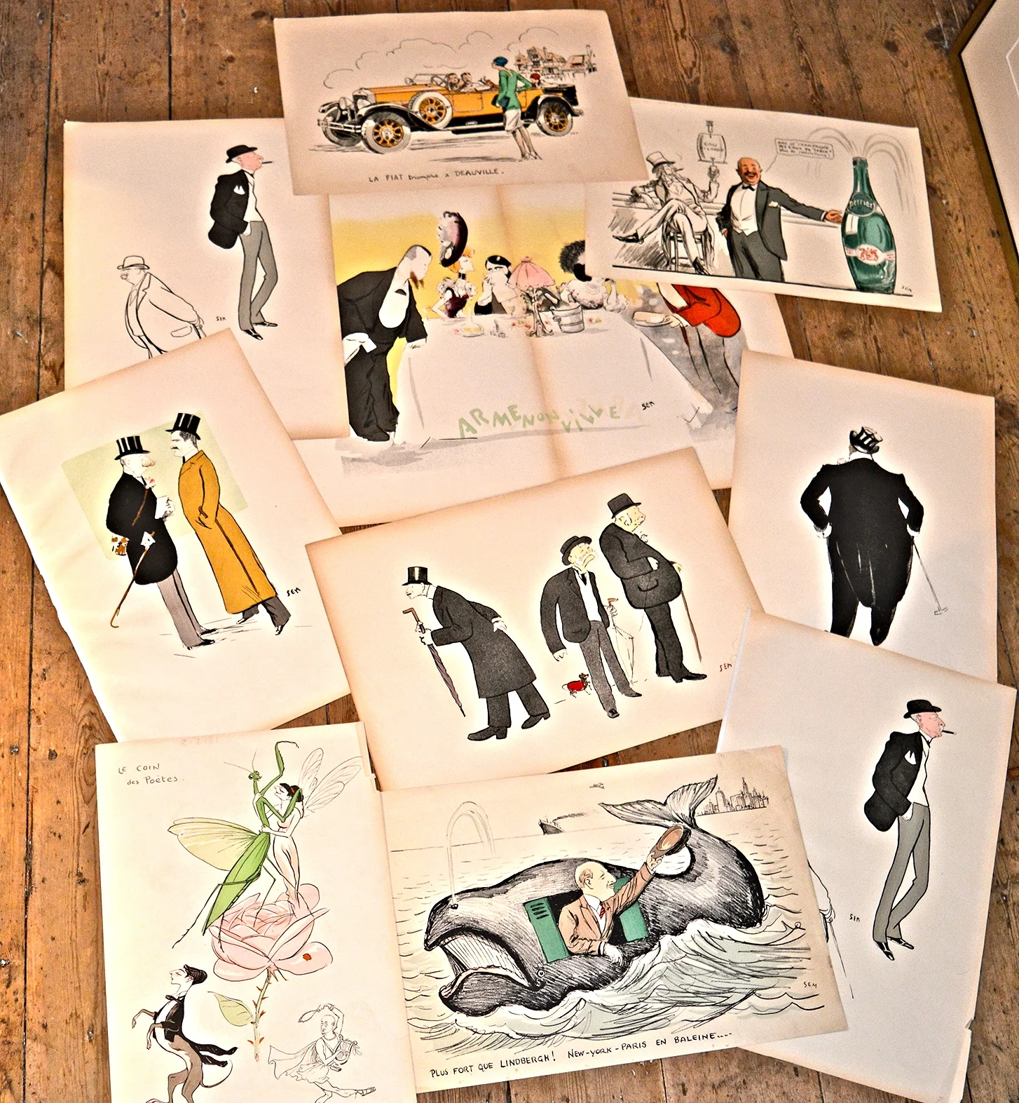 Collection of SEM (unframed)