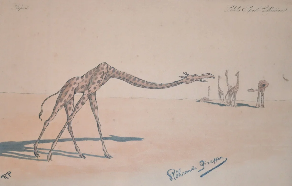 'Lord Humbug in Africa' Dimensions: 37cm x 57cm, unframed.