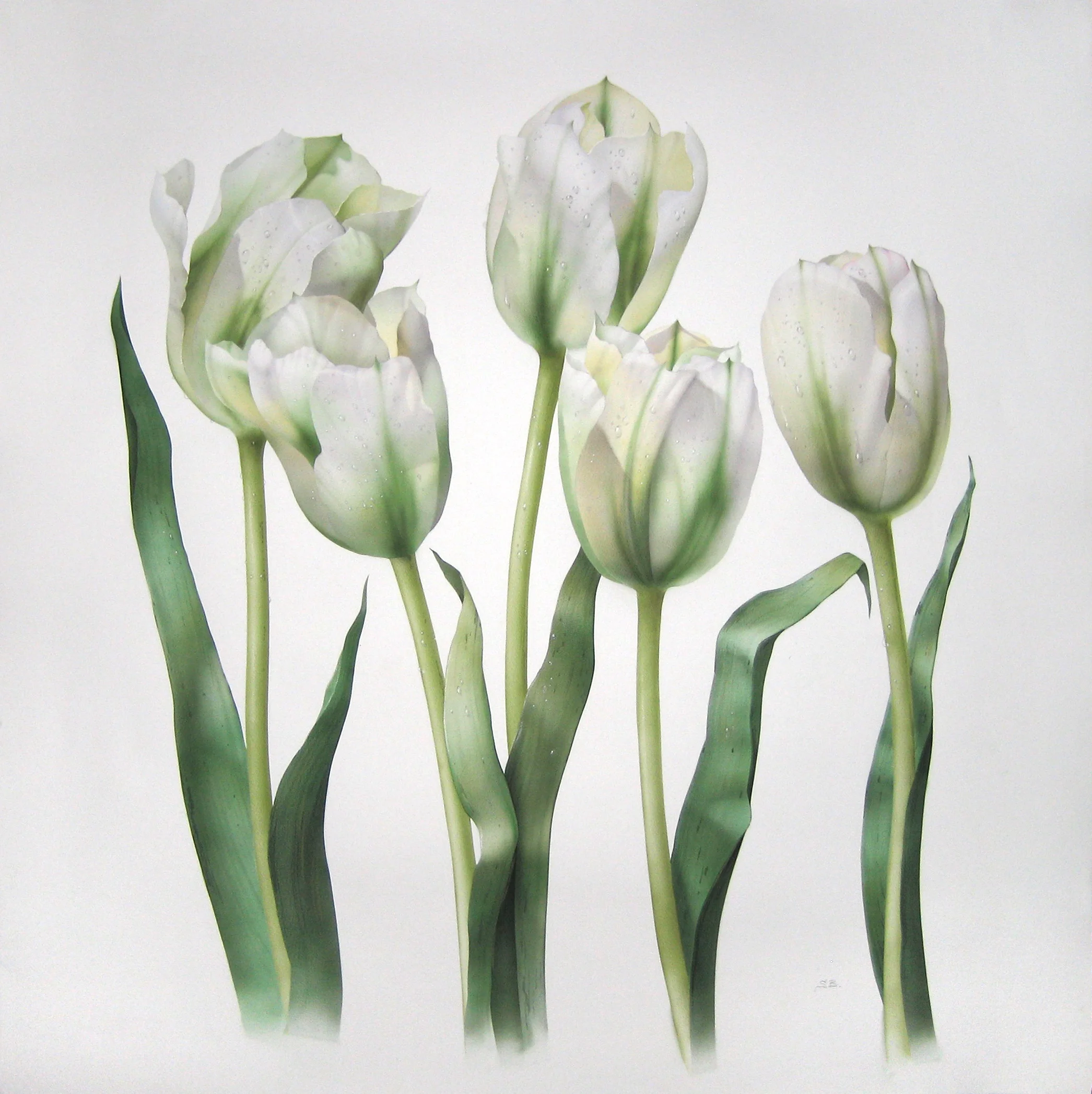 Early Tulips, Watercolour, Dimensions: 100cm x 100cm
