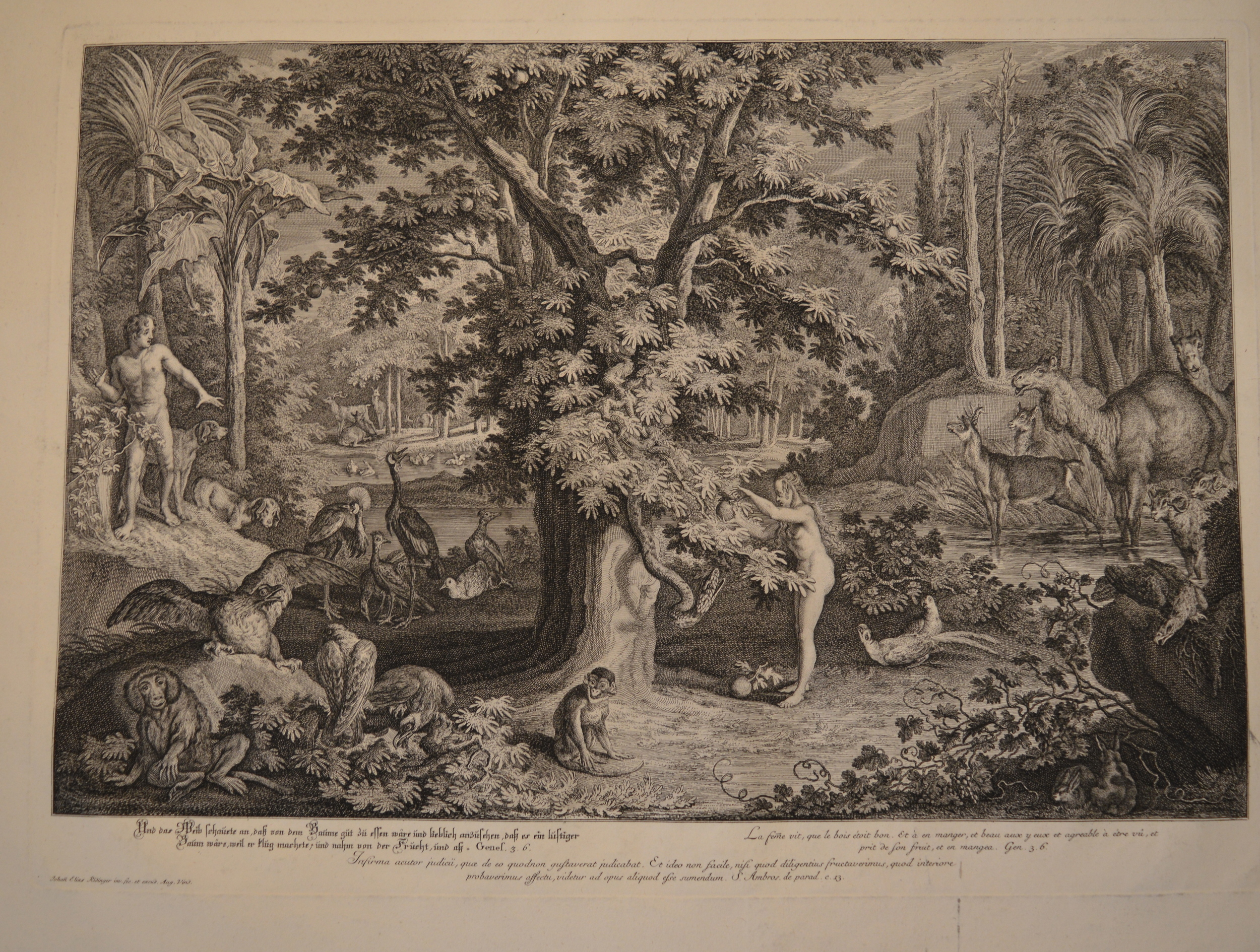 Johann Elias Ridinger, Scenes from The Garden of Eden, 1698-1767, Engravings, unframed