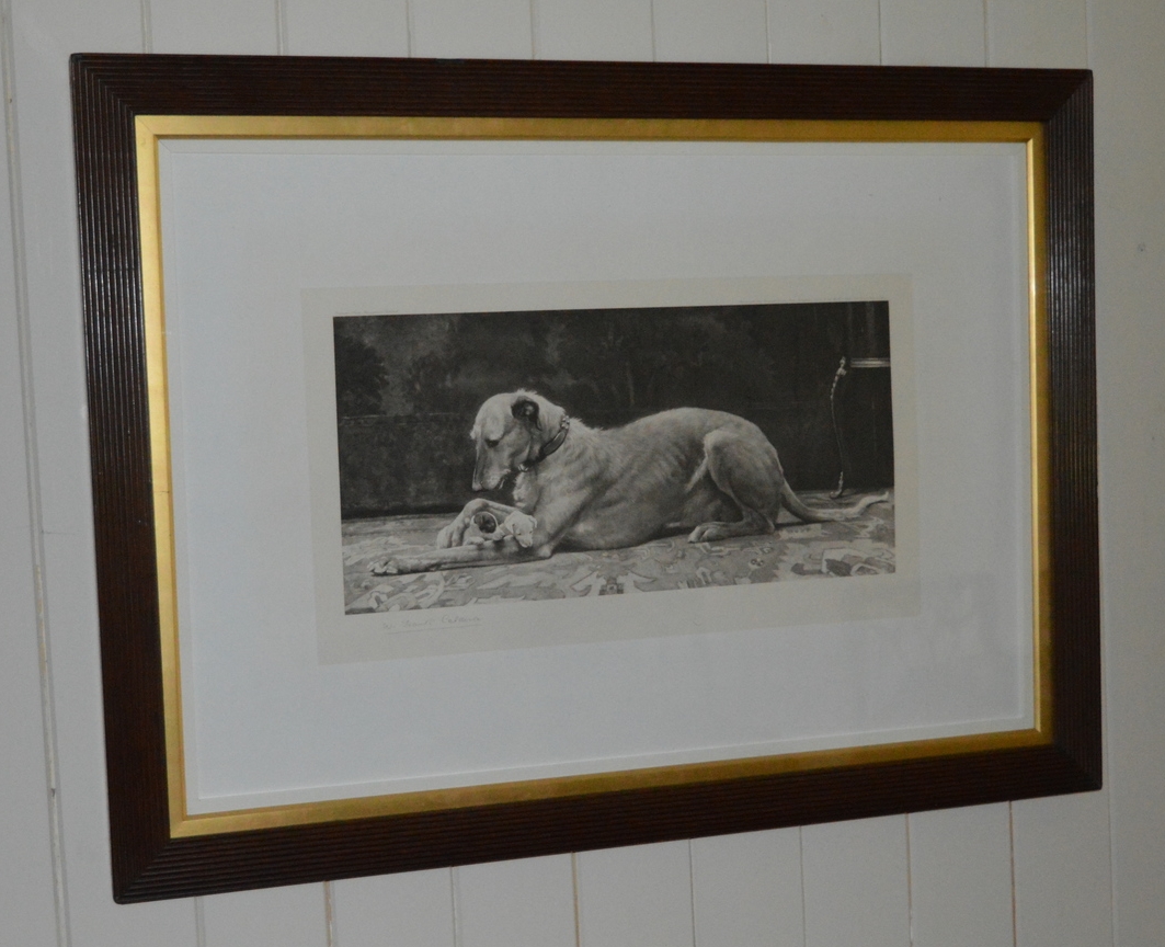 'Lying Lurcher' Dimensions: 95cm x 70cm, framed.