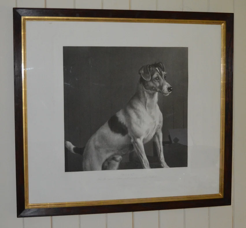 'Jack Russell' Dimensions: 90cm x 82cm, framed.