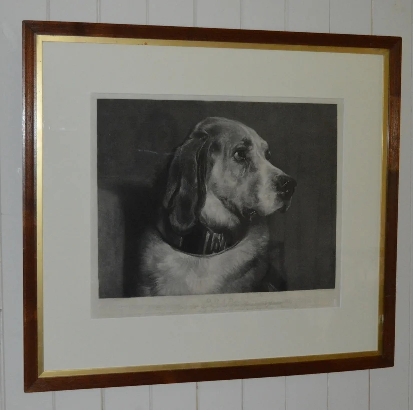 'Hound face' Dimensions: 92cm x 83cm, framed.