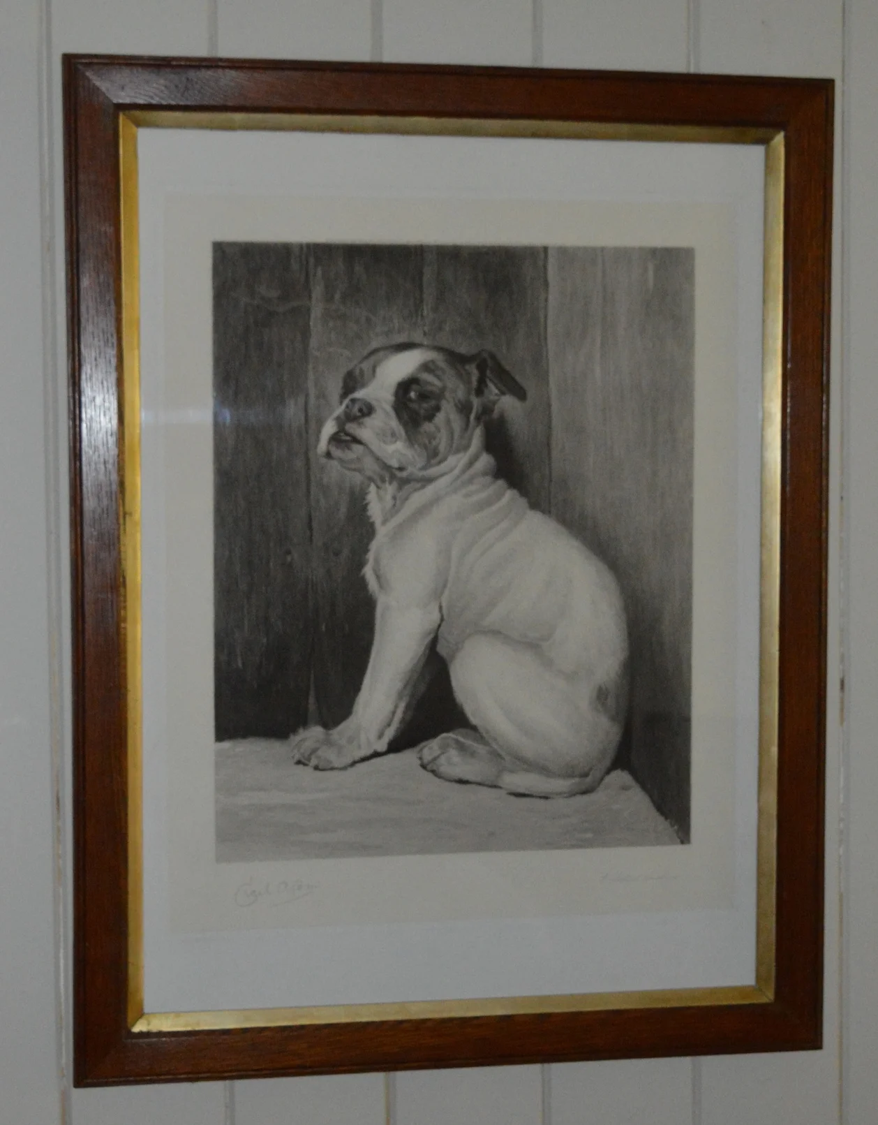 'Sitting Dog', Dimensions: 70cm x 54cm, framed.