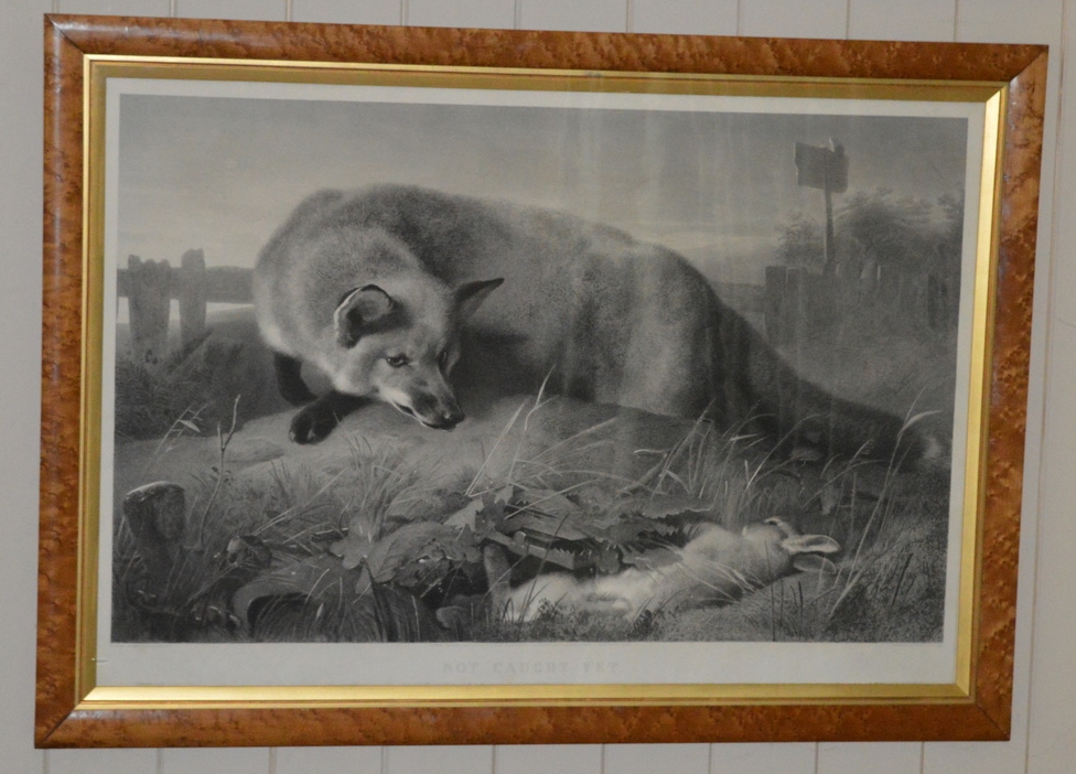 'Not yet Caught' Dimesnions: 78cm x 99cm, framed.