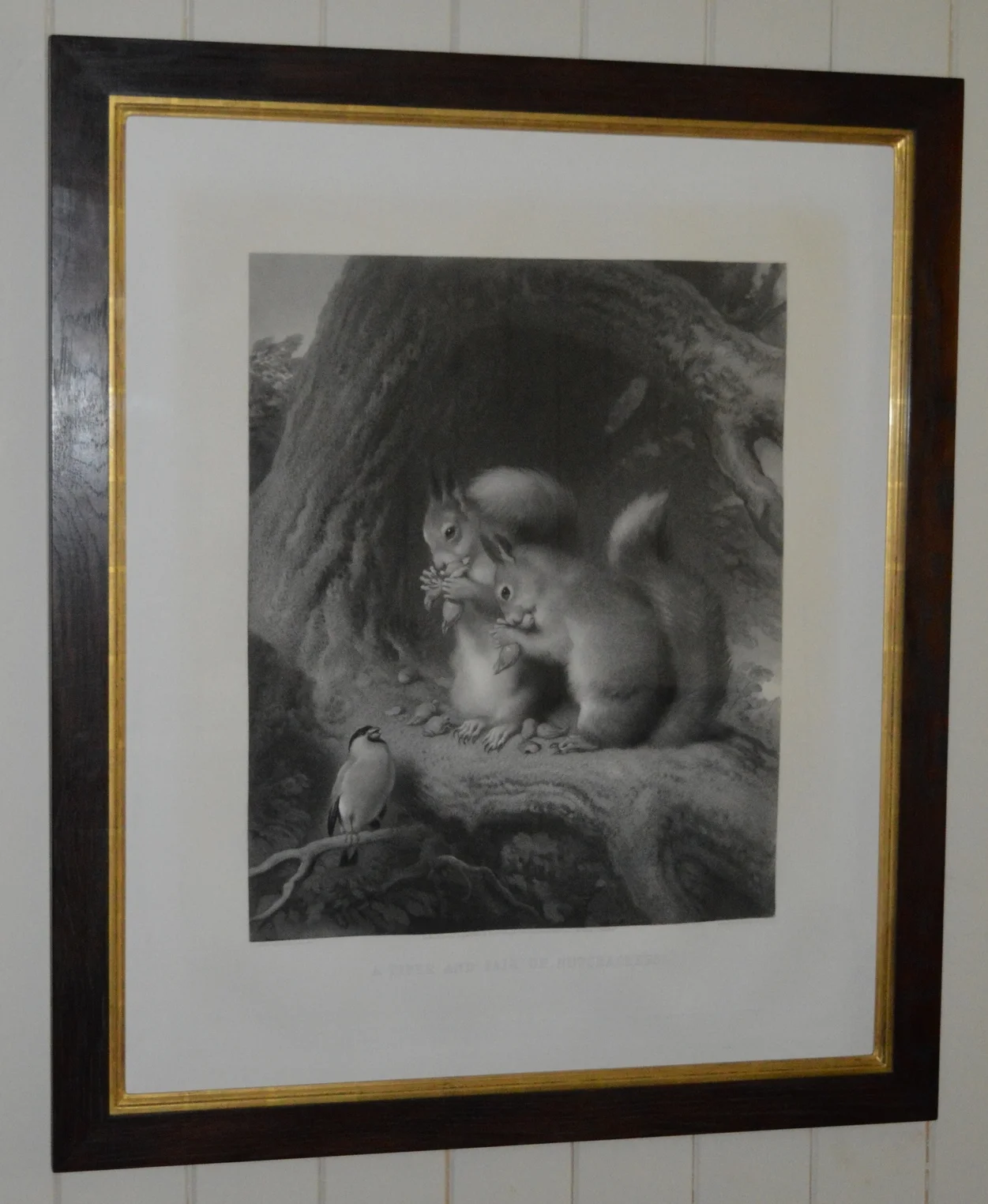 'Squirrel' Dimensions: 93.5cm x 80cm, framed