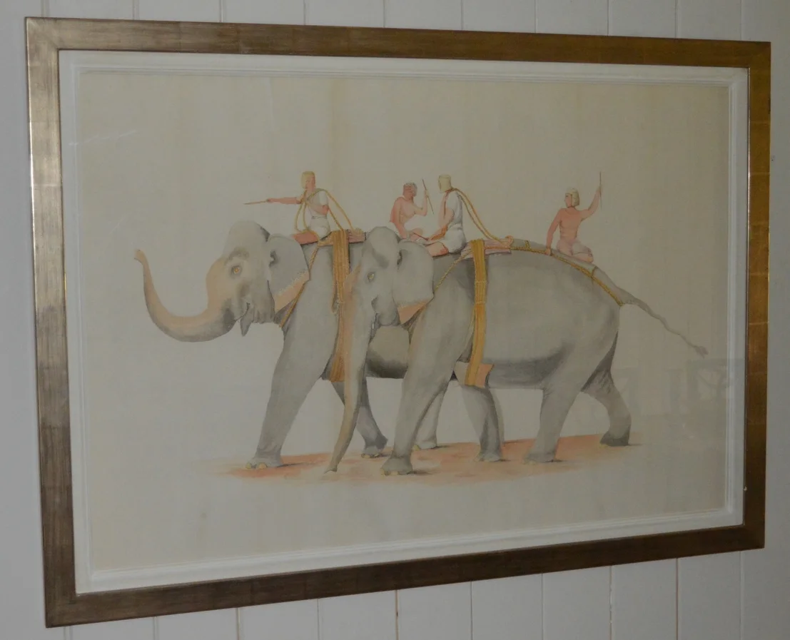 Elephants set of 4, Dimensions: 108cm x 76cm, framed.