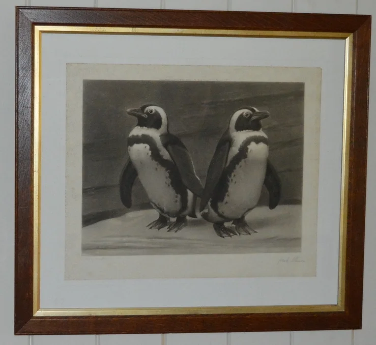 Penguins, Dimensions: 54cm x 60cm, framed.