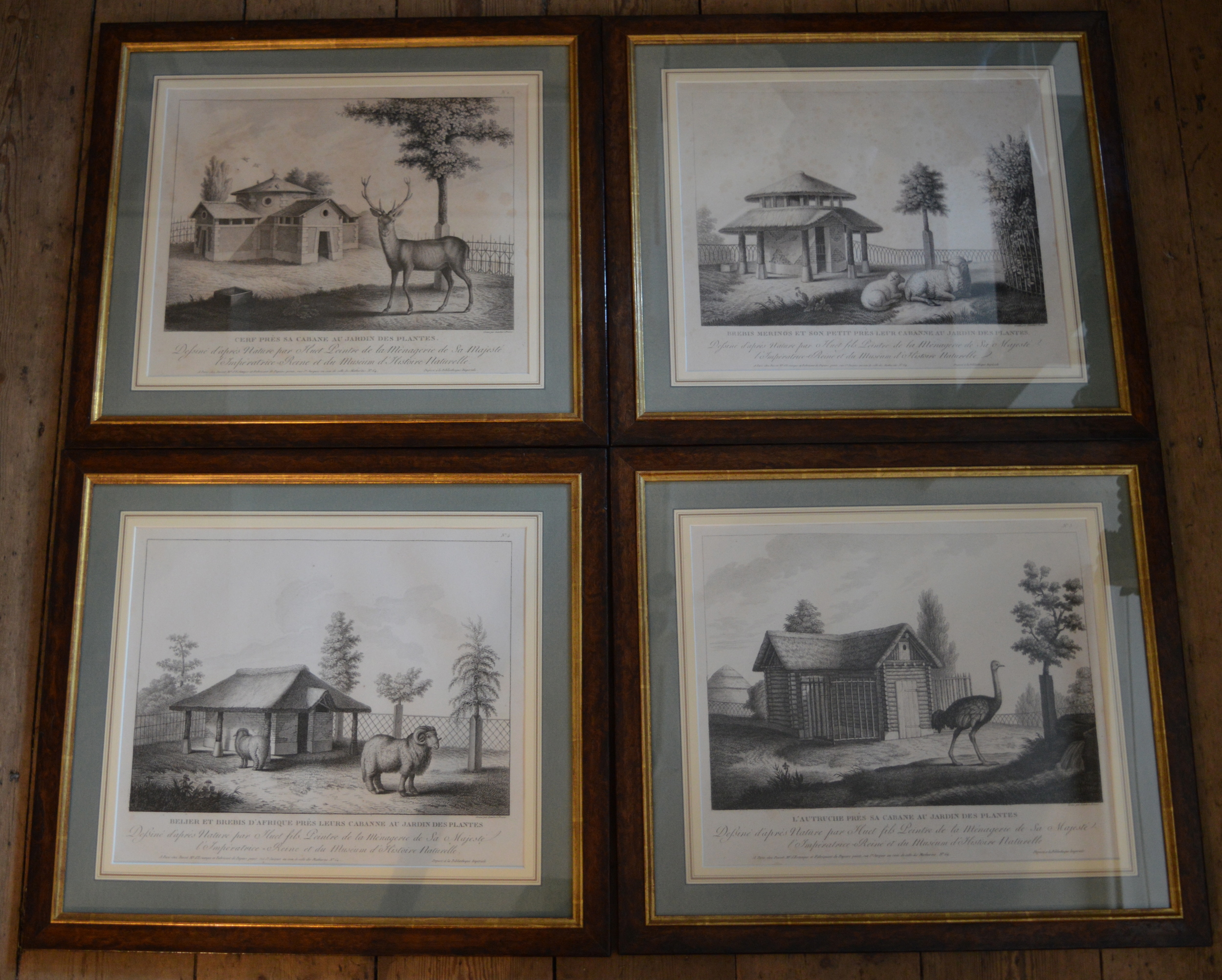 Nicholas Huet, Set of 12, Dimensions: 55cm x 49cm framed