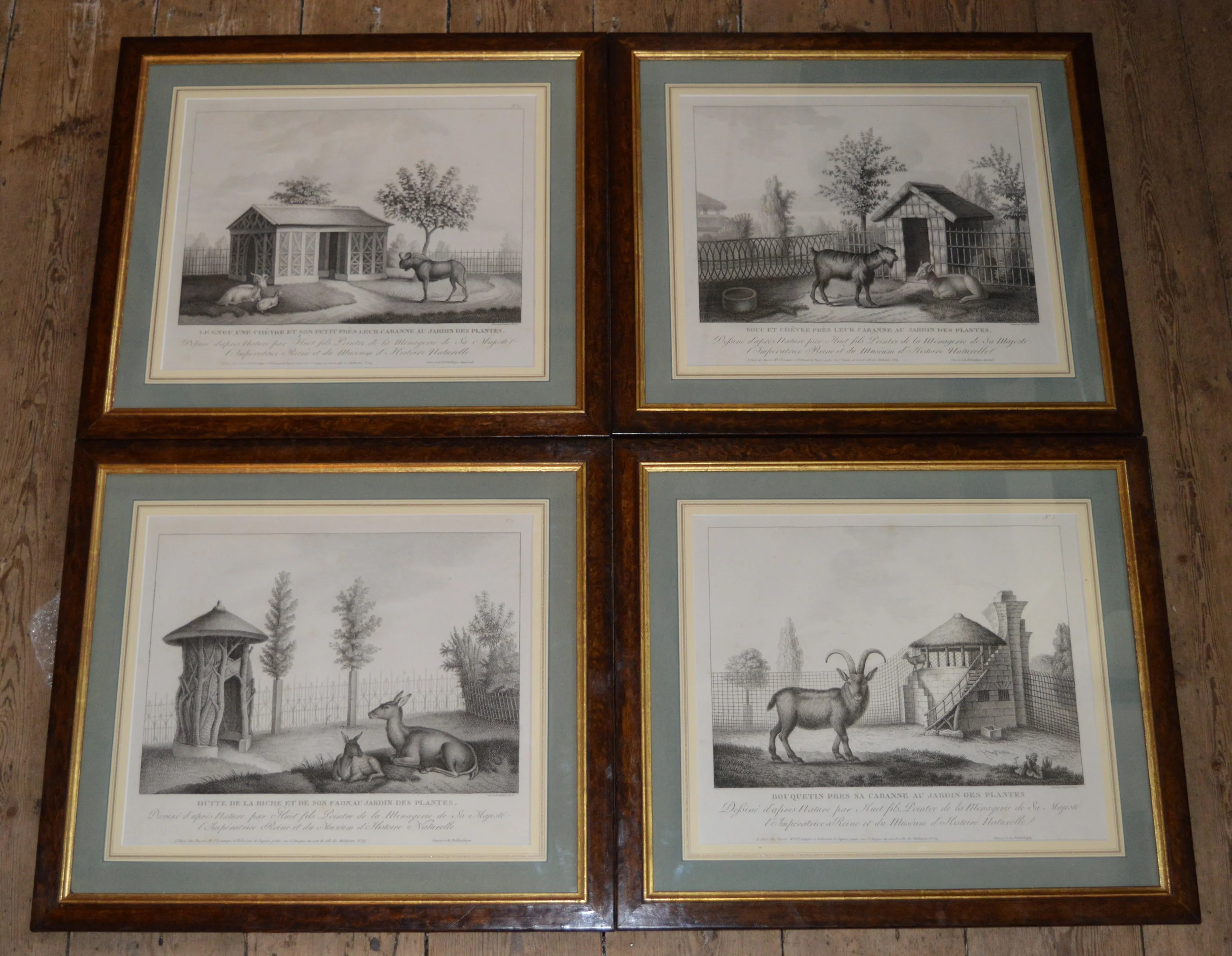 Nicholas Huet, Set of 12, Dimensions: 55cm x 49cm framed