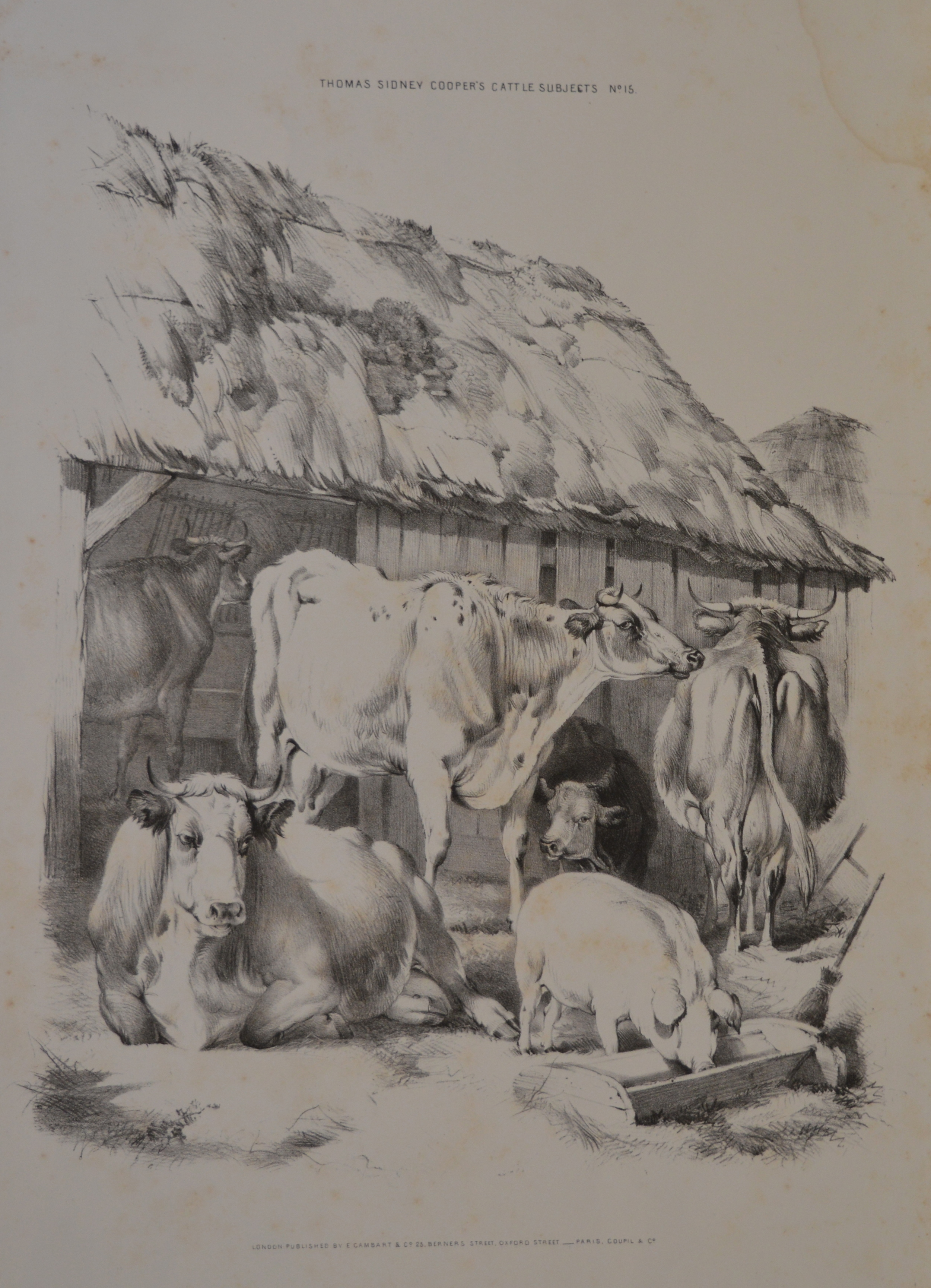 Dimensions: 53cm x 34.5cm, unframed