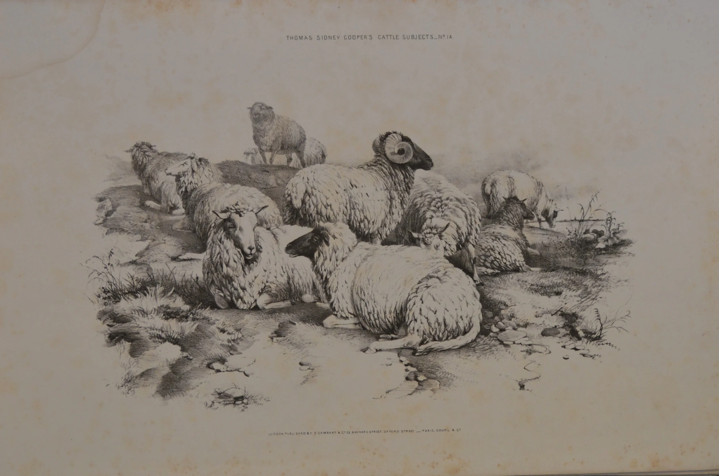 Dimensions: 53cm x 34.5cm, unframed