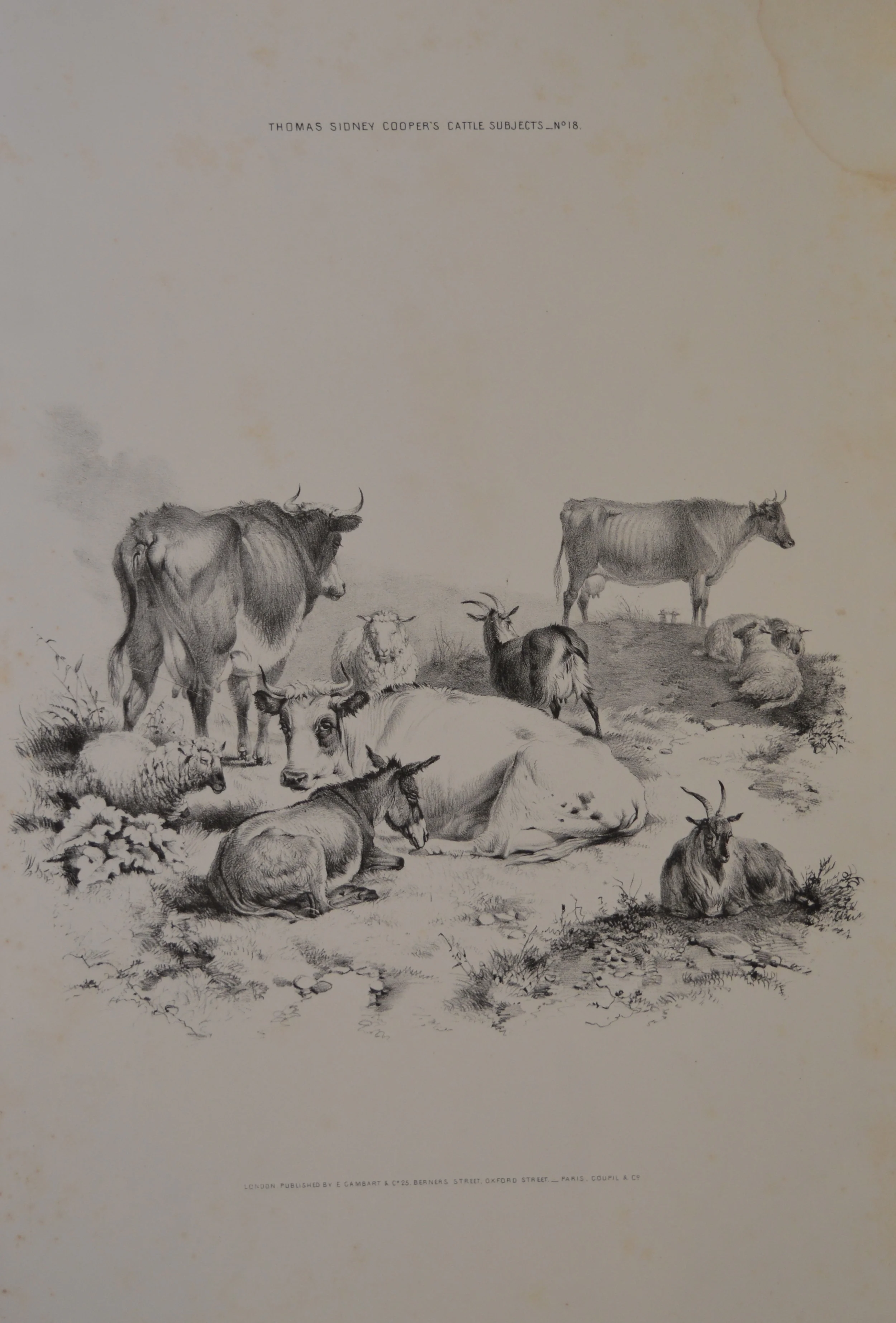 Dimensions: 53cm x 34.5cm, unframed