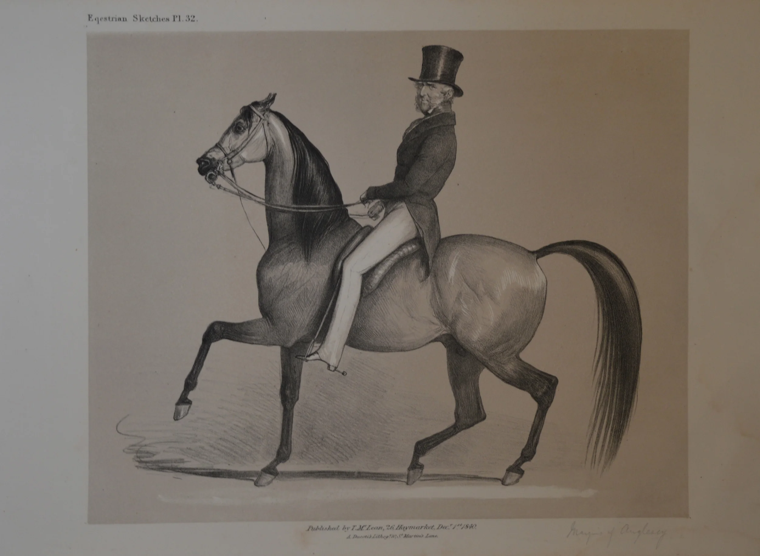 Equestrian sketches, lithographs, Dimensions: 28.5cm x 41.5cm, unframed.