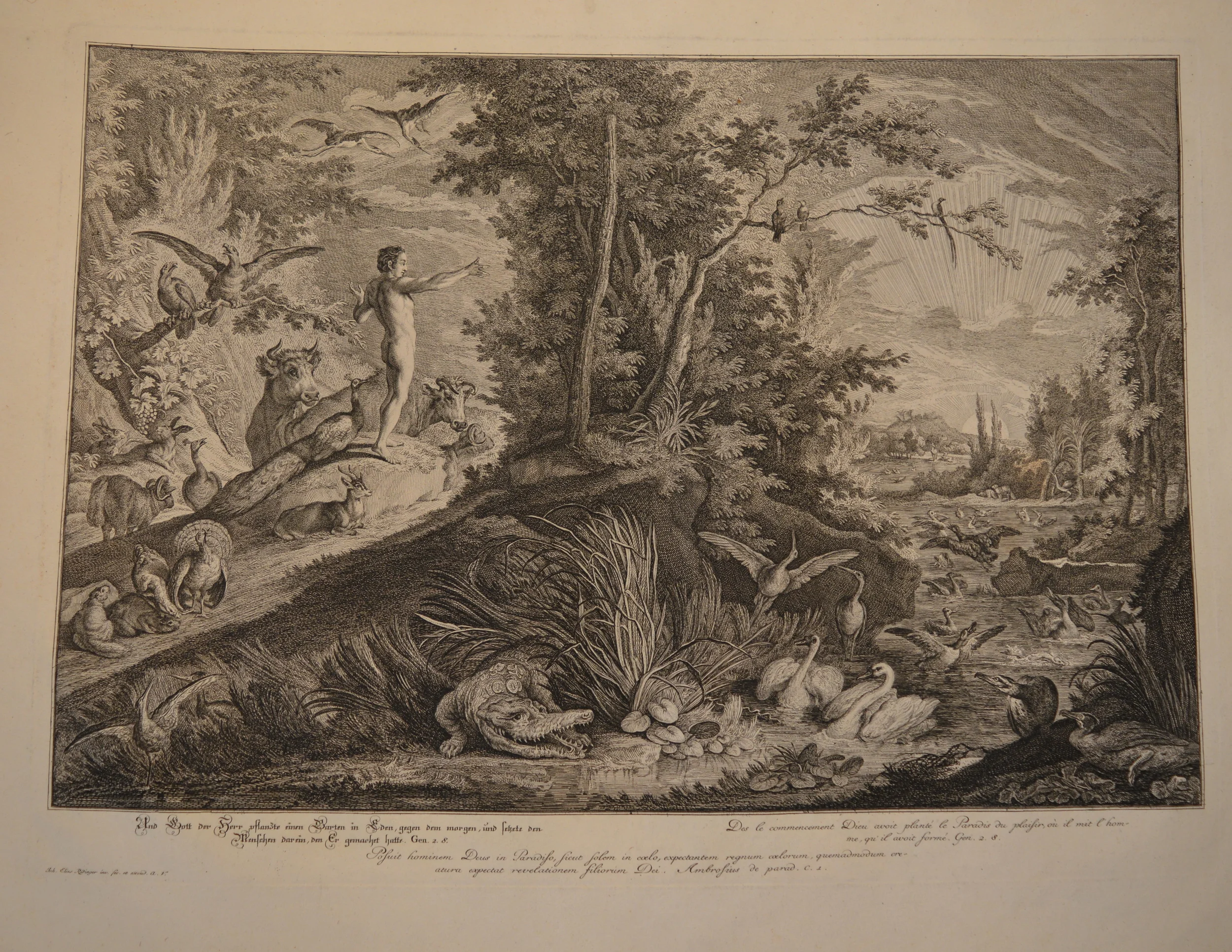 Scenes from 'The Garden Of Eden', Engravings, 1698 - 1767