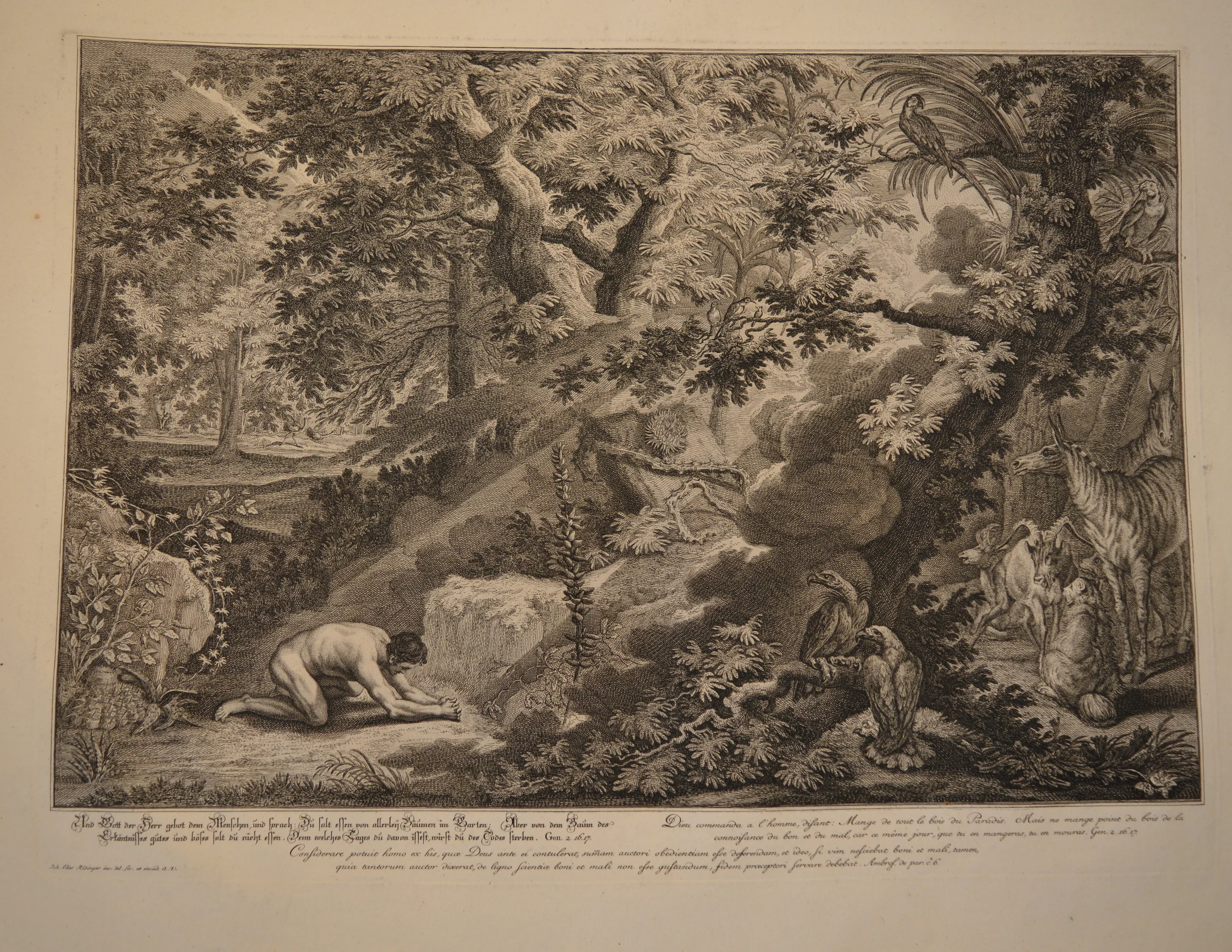 Scenes from 'The Garden Of Eden', Engravings, 1698 - 1767