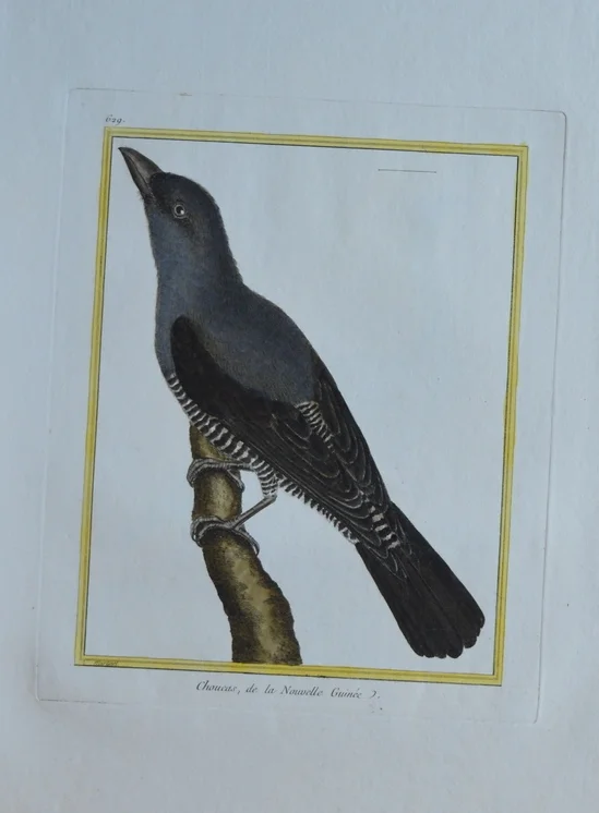 Dimensions unframed: 47cm x 29cm