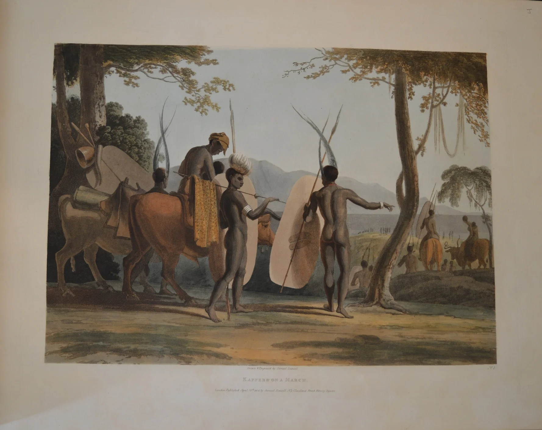 Samuell Daniell, Dimensions unframed: 58cm x 44cm
