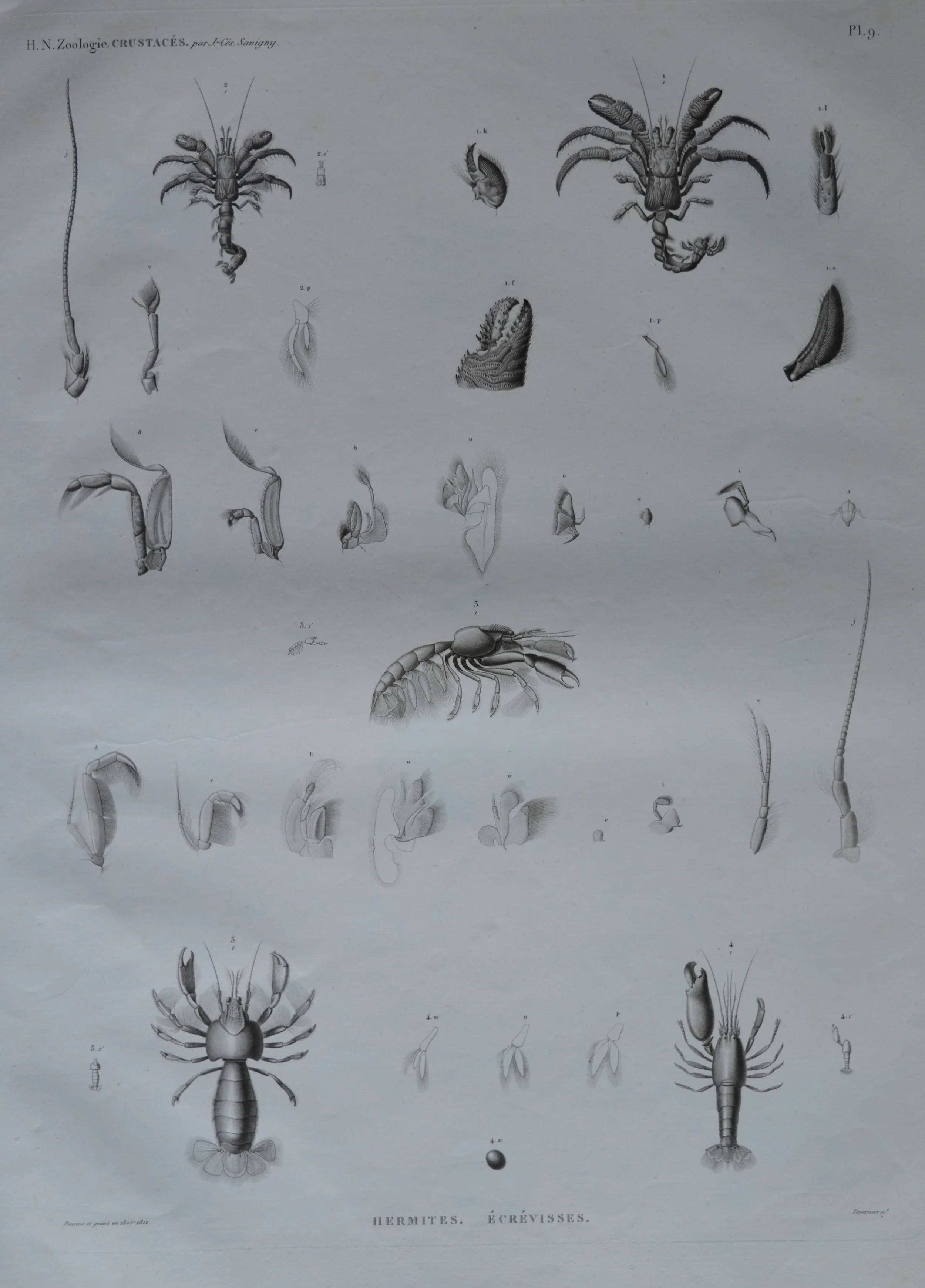 Dimensions unframed: 68cm x 50cm