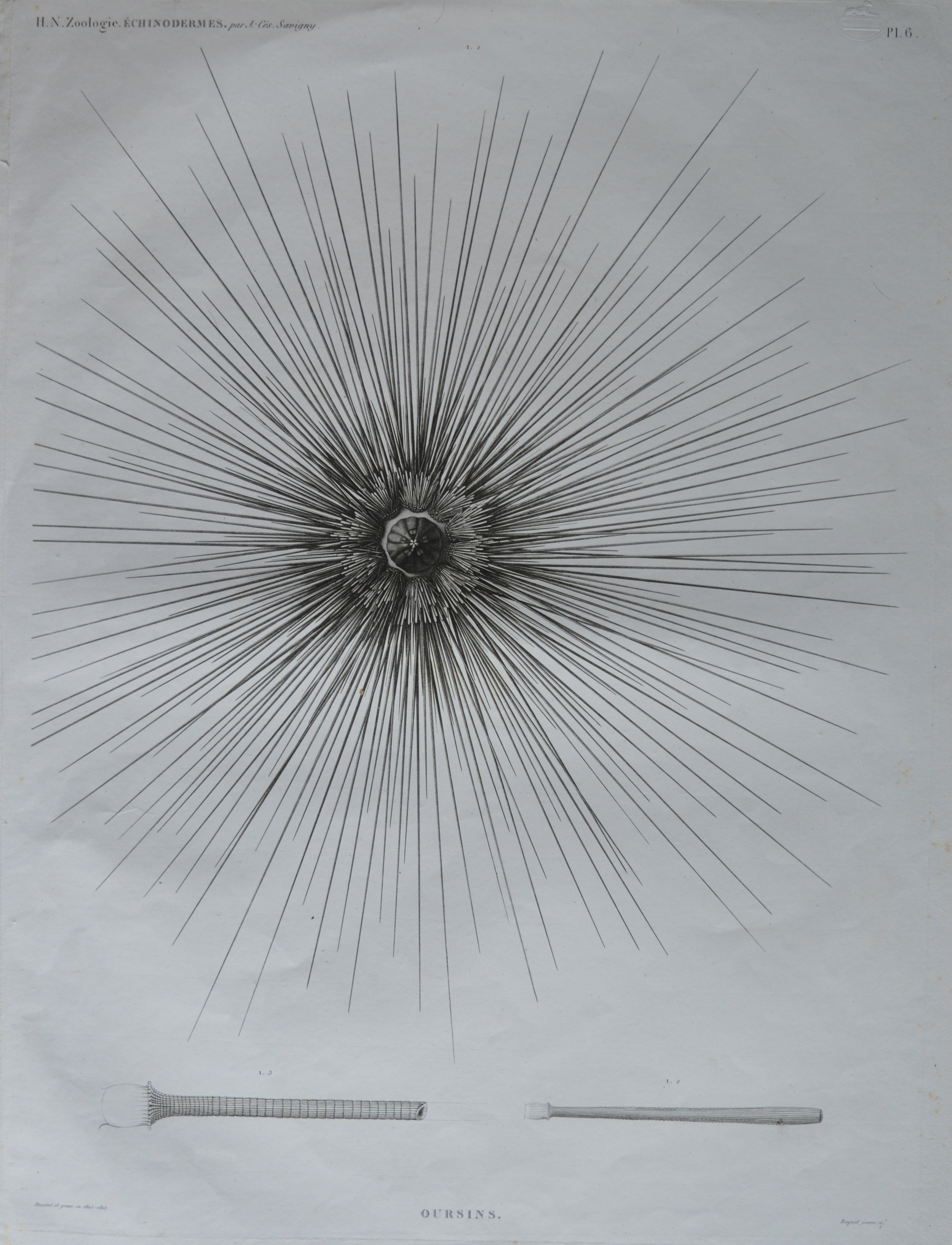 Dimensions unframed: 68cm x 50cm