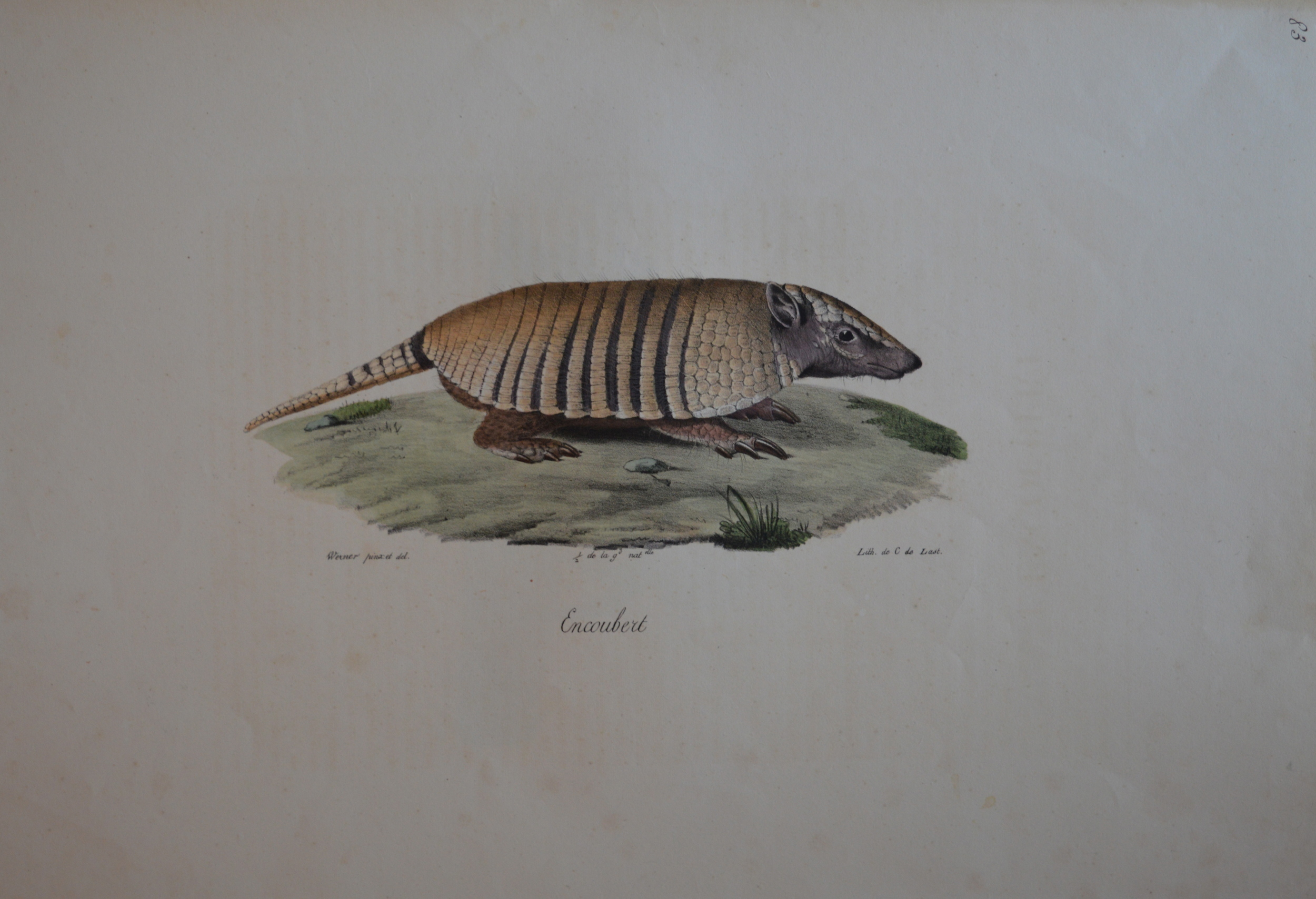 'Encoubert'