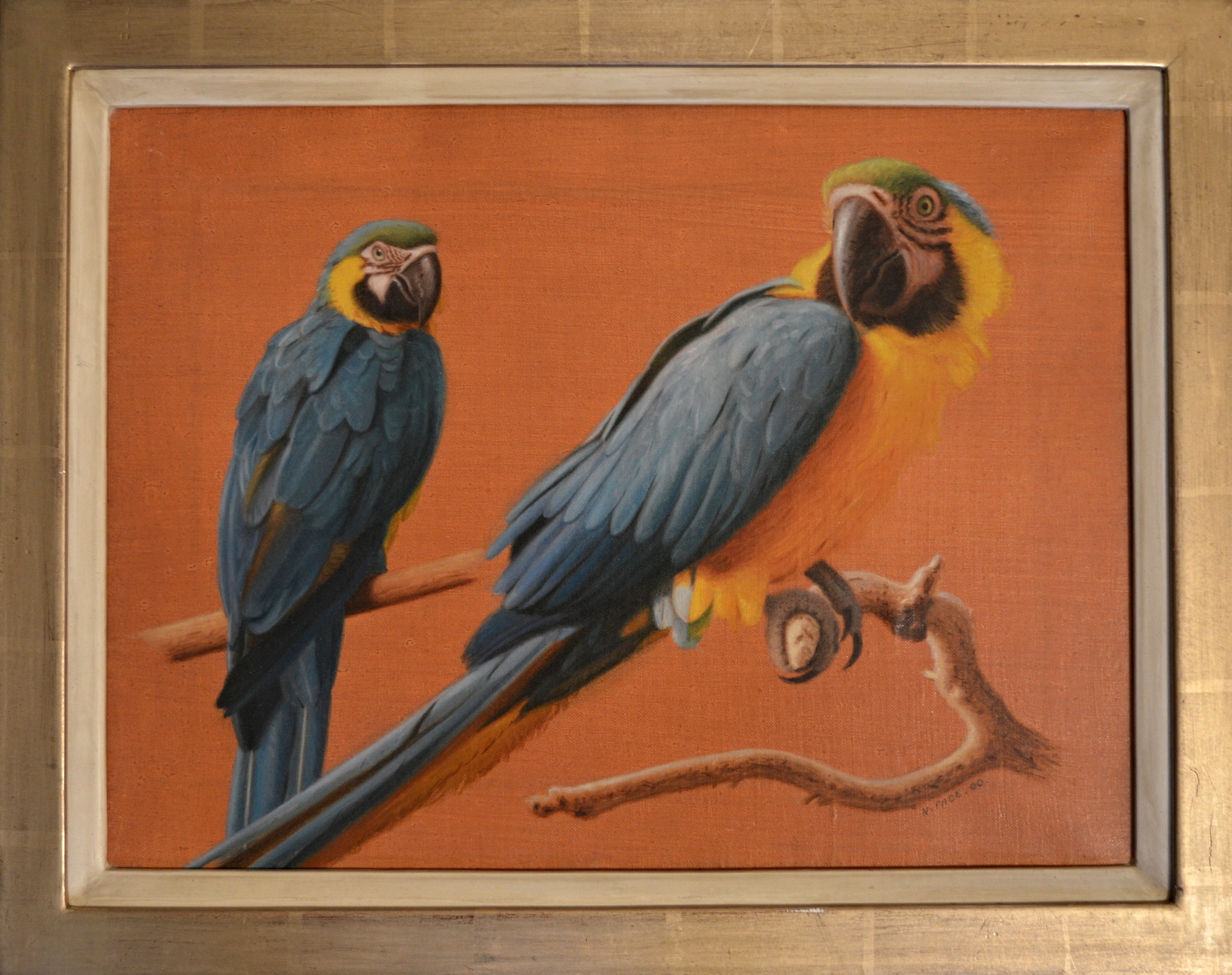 'Pair of Parrots' by Nicholas Pace, oil on canvas, signed by artist