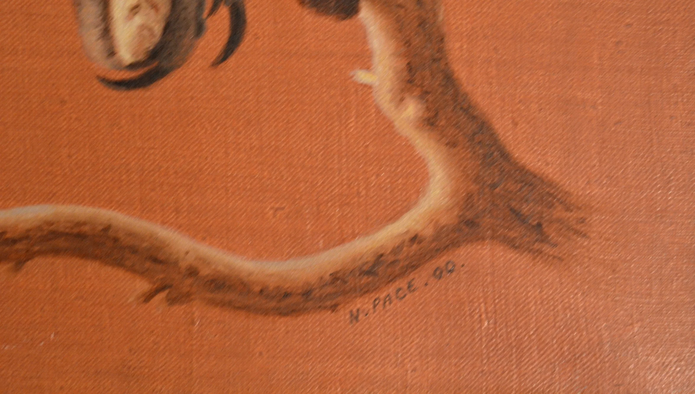 'Pair of Parrots' by Nicholas Pace, oil on canvas, signed by artist 