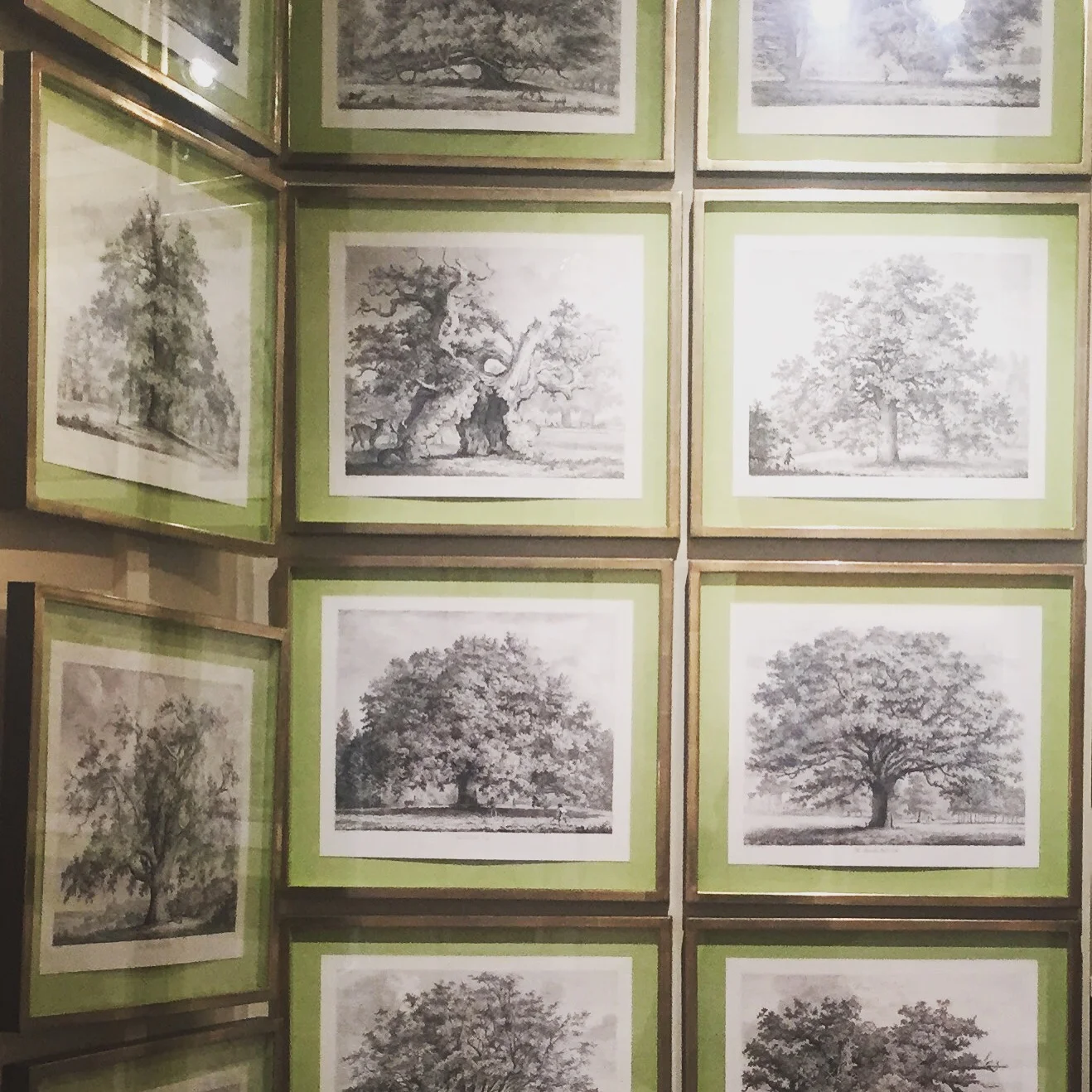 Struts Trees Set of 12