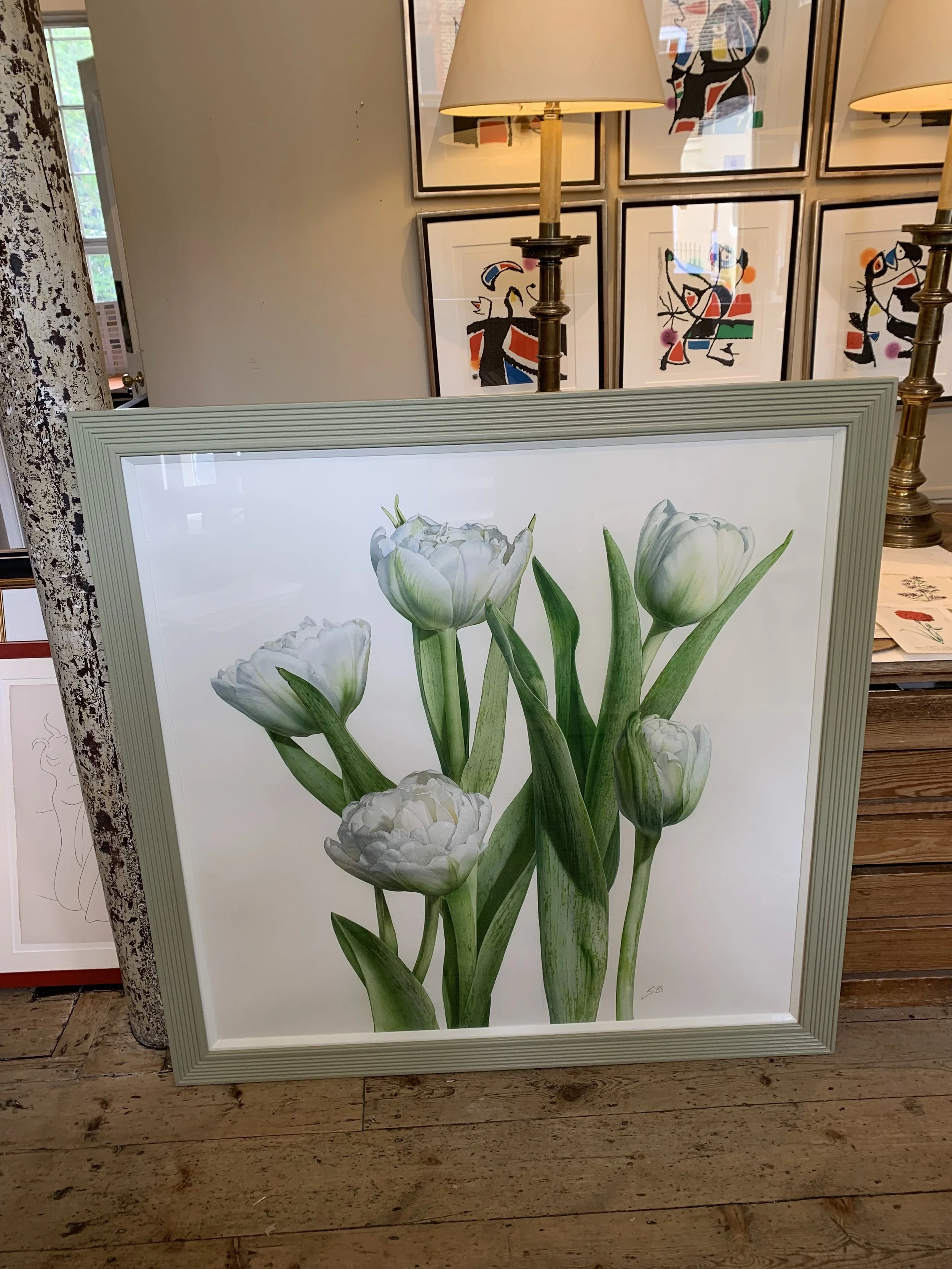new tulip 1.jpg