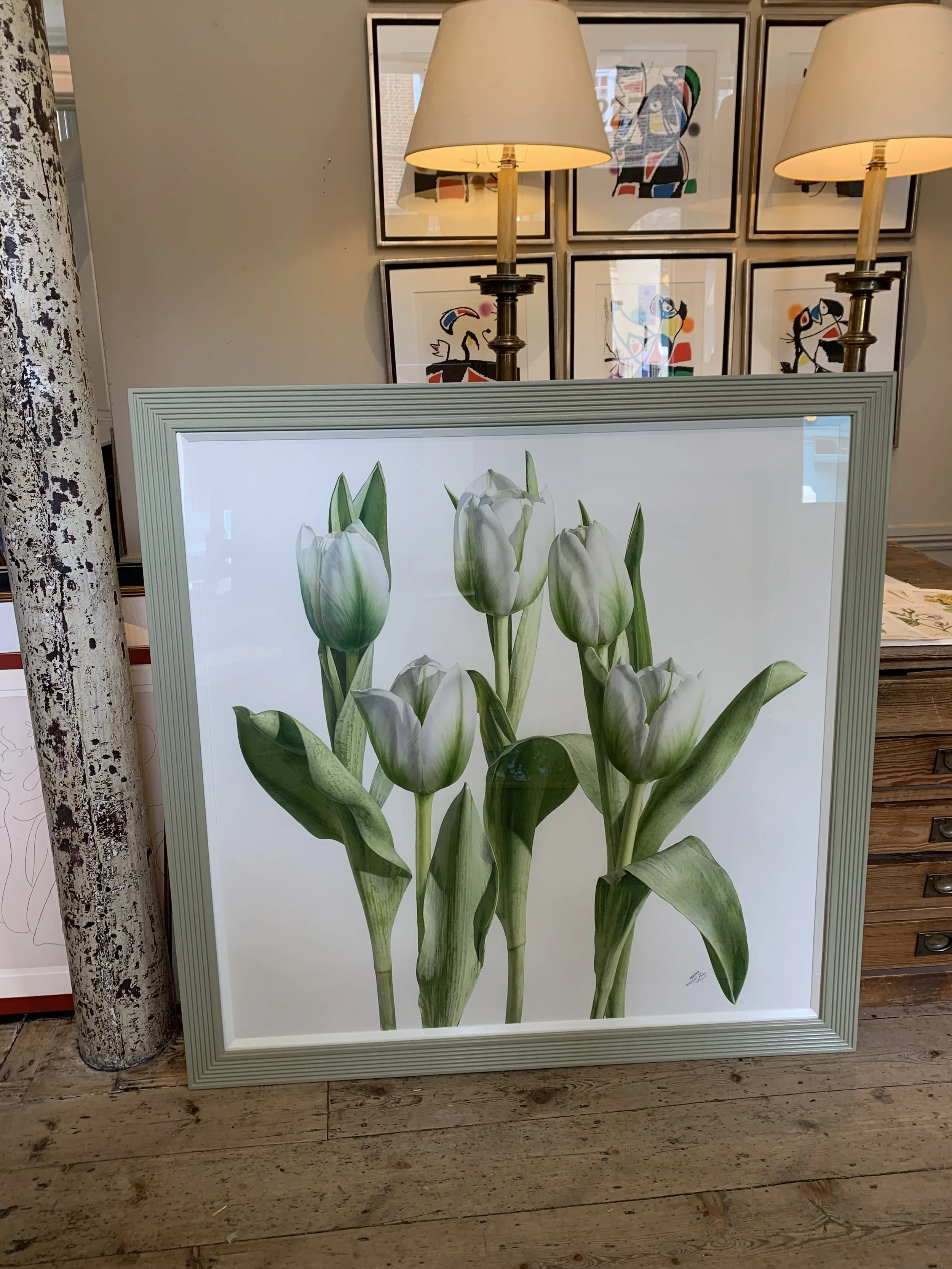 New tulip 2.jpg