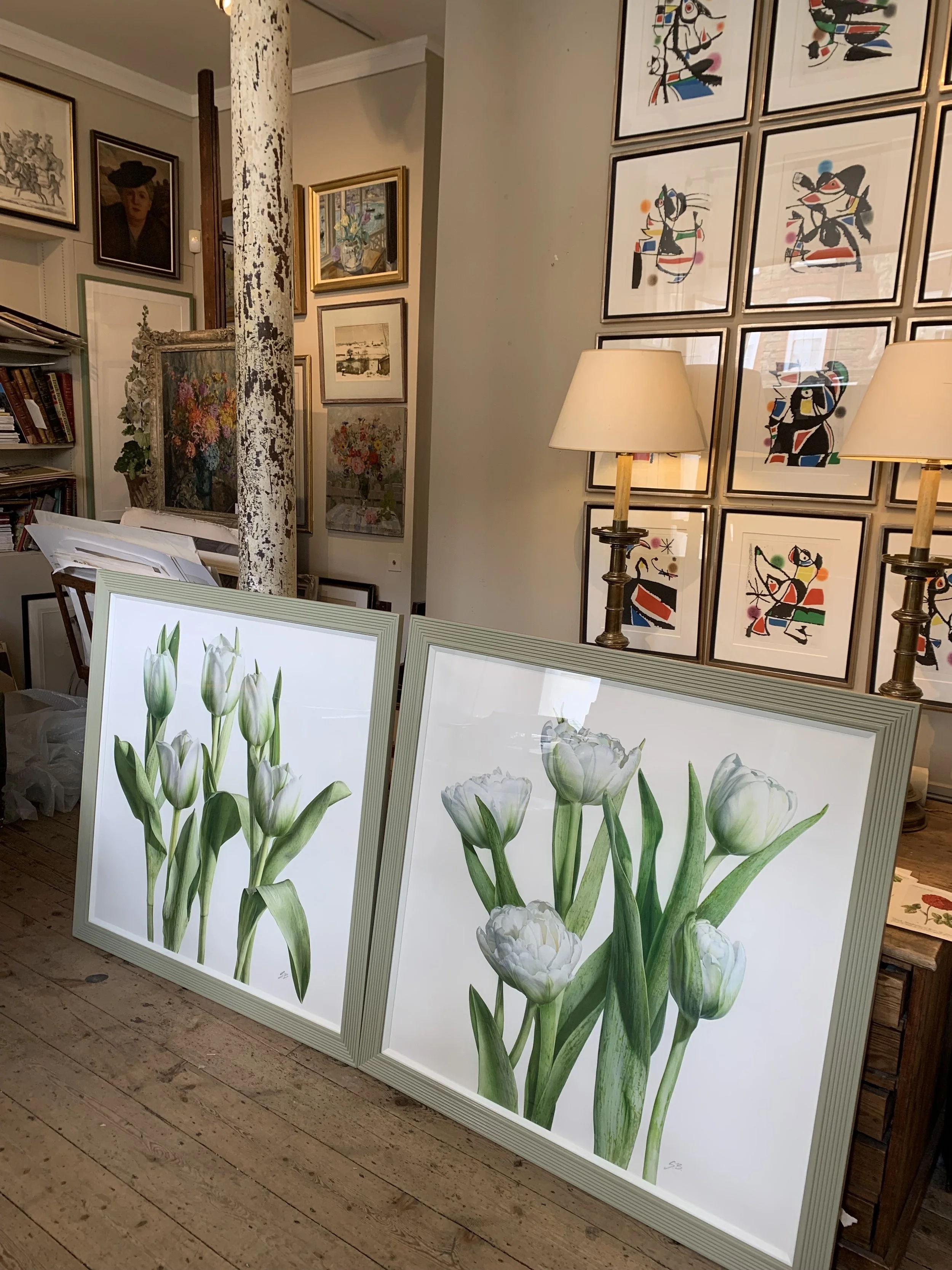 pair of new tulips.jpg