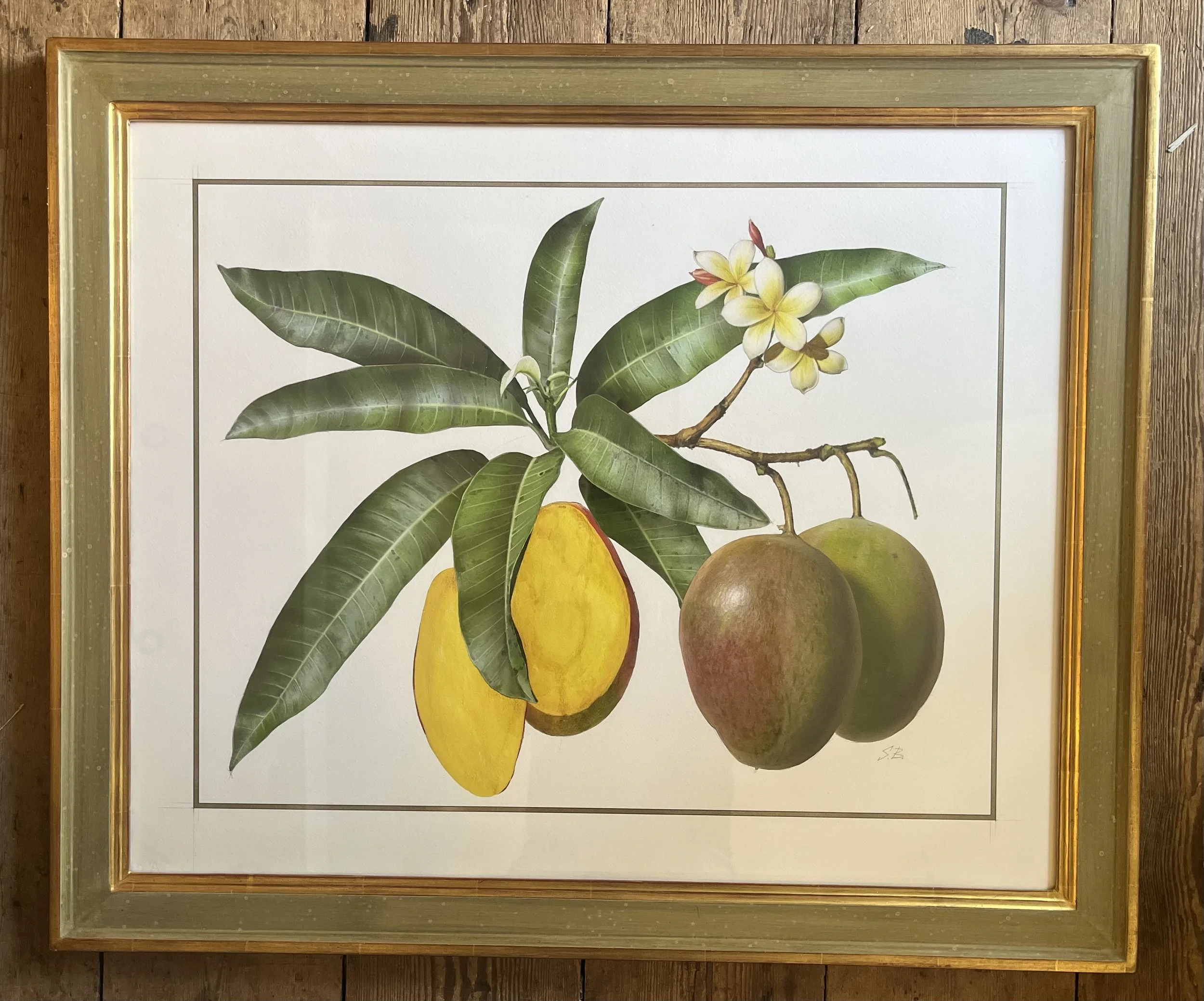 Mango 3.jpg