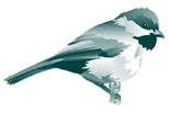 Logo_birdOnly_TransP.png
