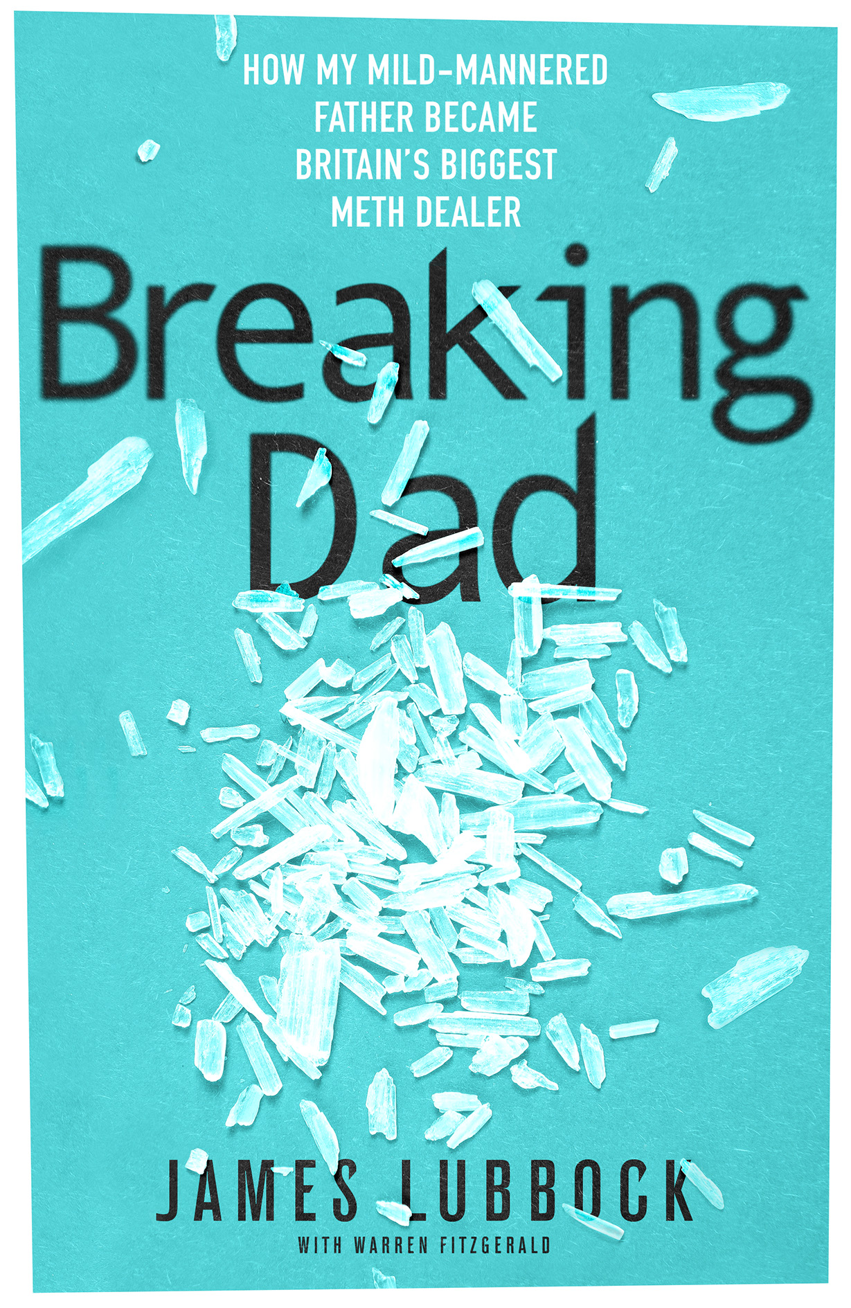 BREAKING DAD HB.jpg