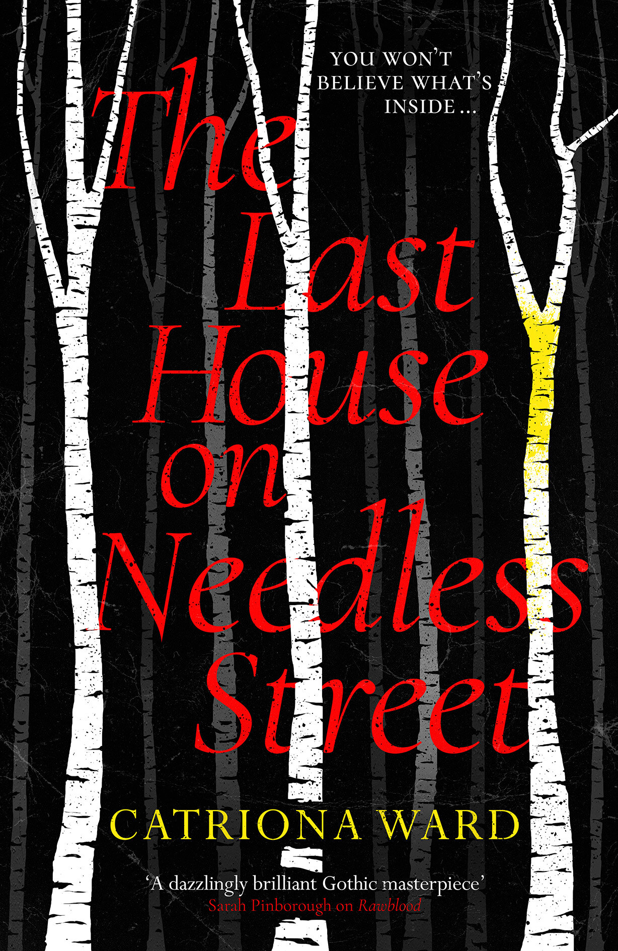 THE LAST HOUSE ON NEEDLESS STREET.jpg