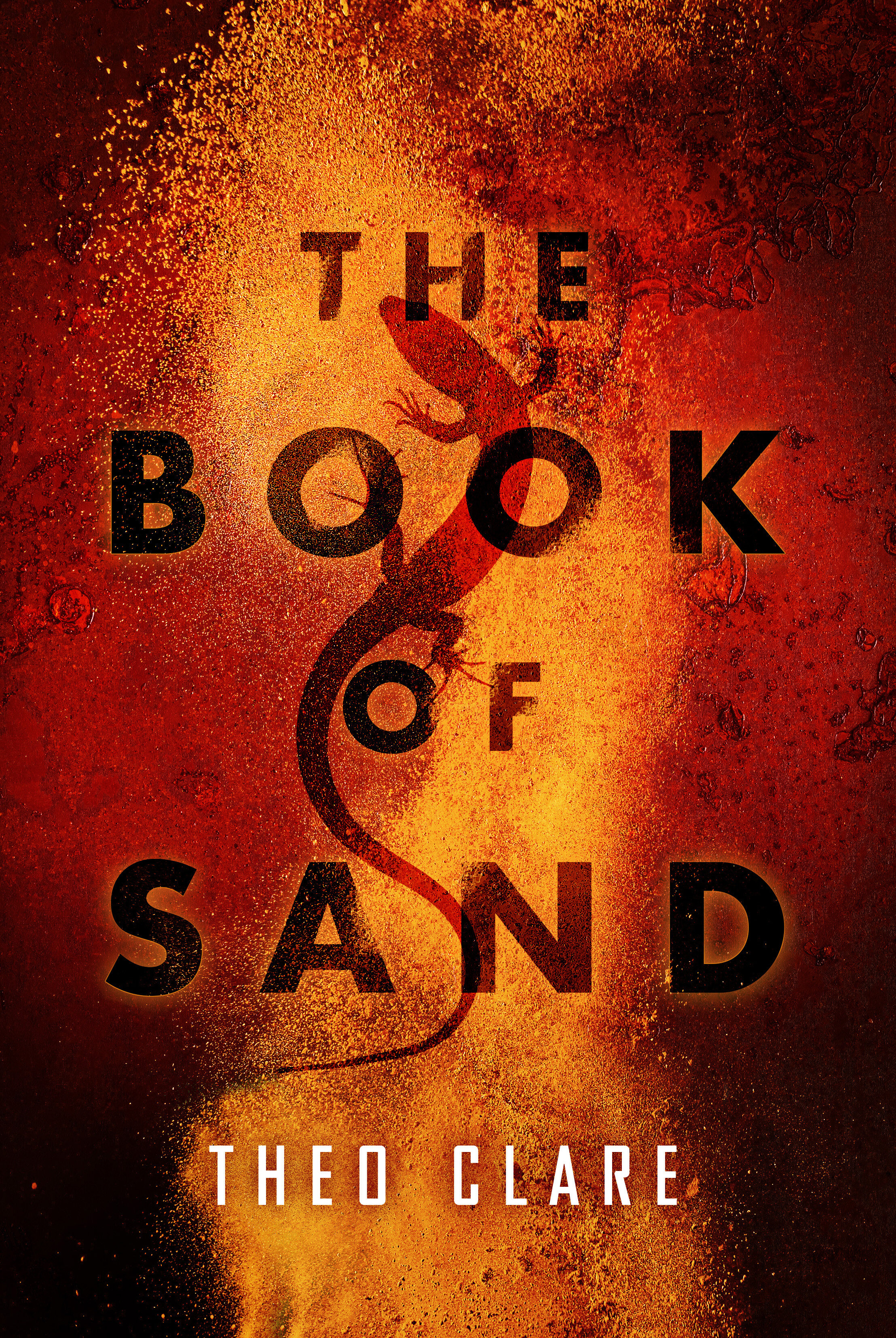 THE BOOK OF SAND .jpg