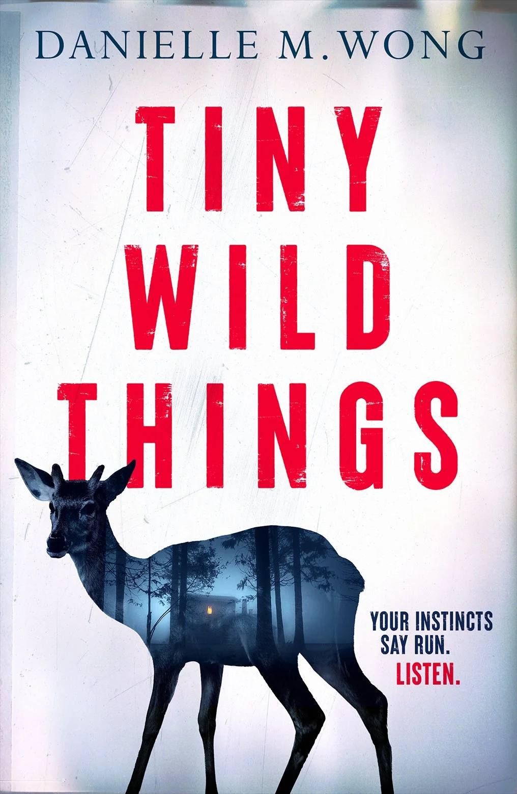 TINY WILD THINGS.jpg