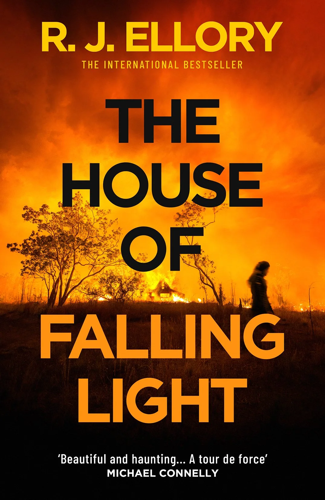 THE HOUSE OF FALLING LIGHT APPROVED.jpg