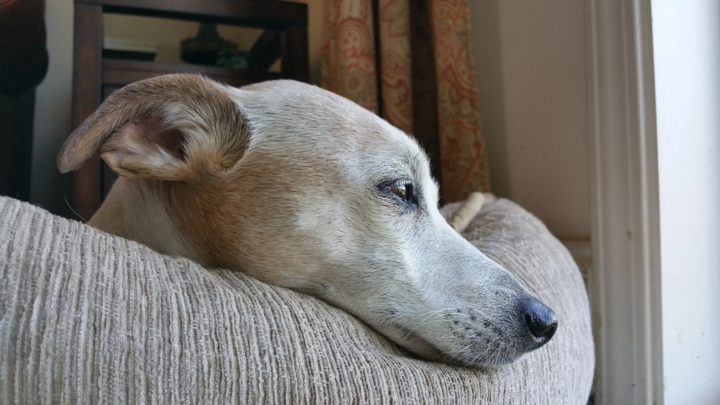 20141026_132743.jpg