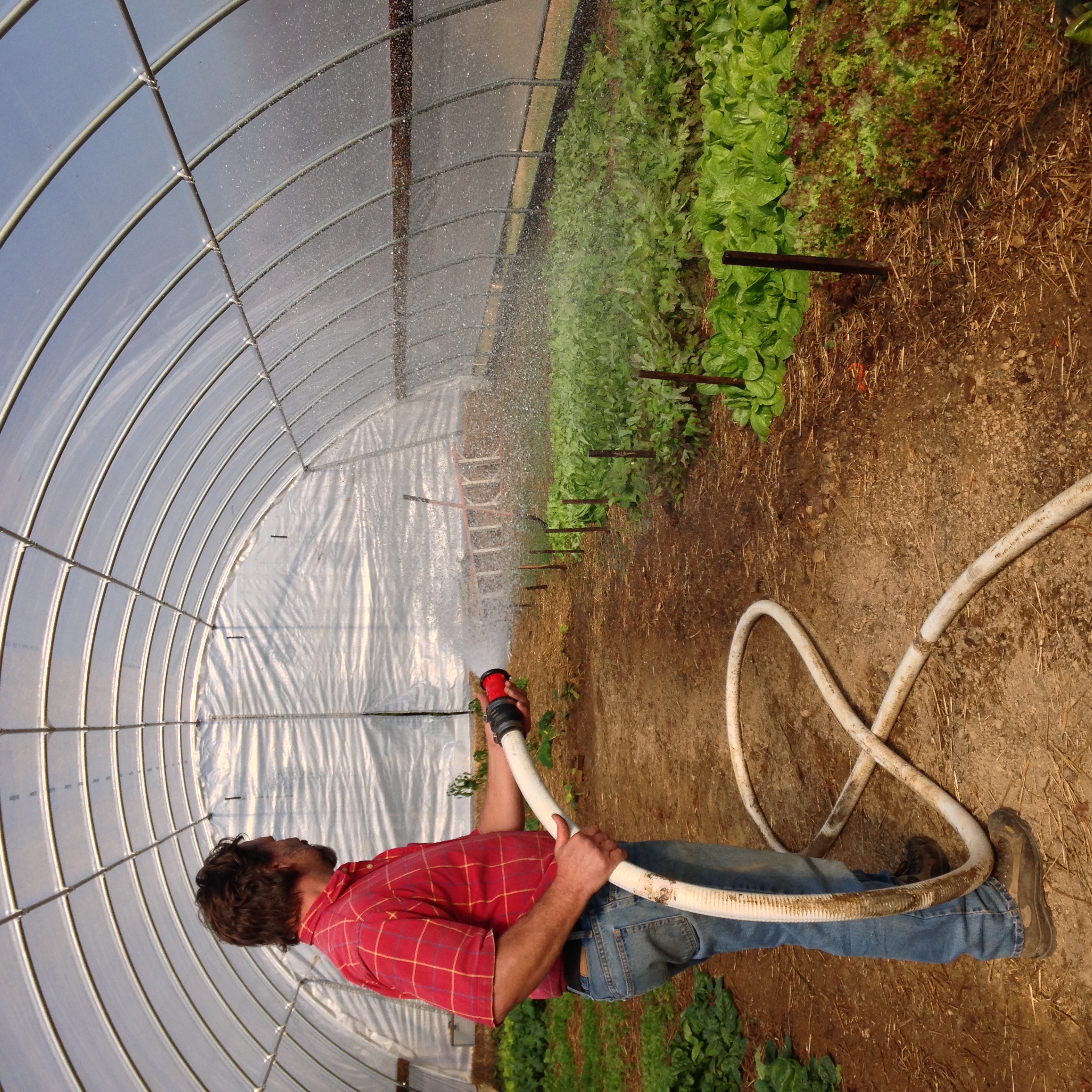 Watering down the High Tunnel
