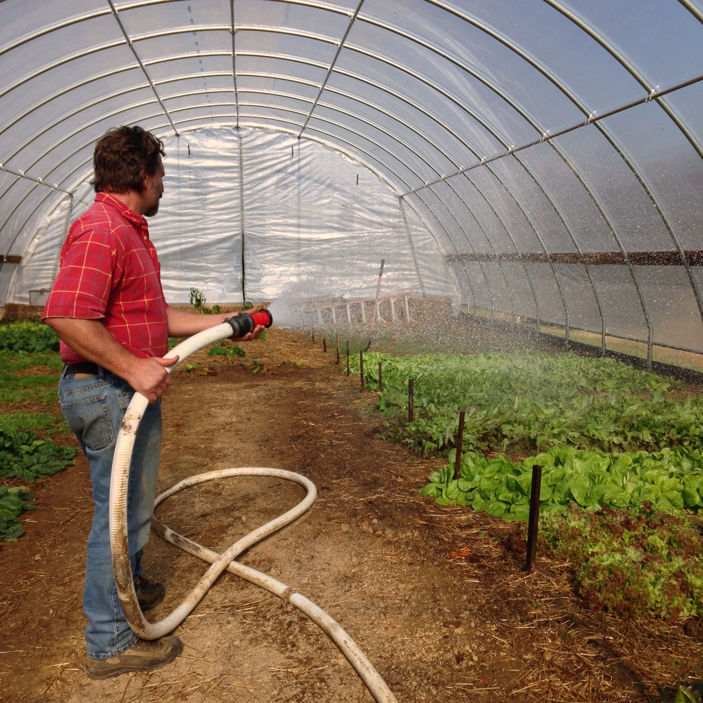 Watering down the High Tunnel